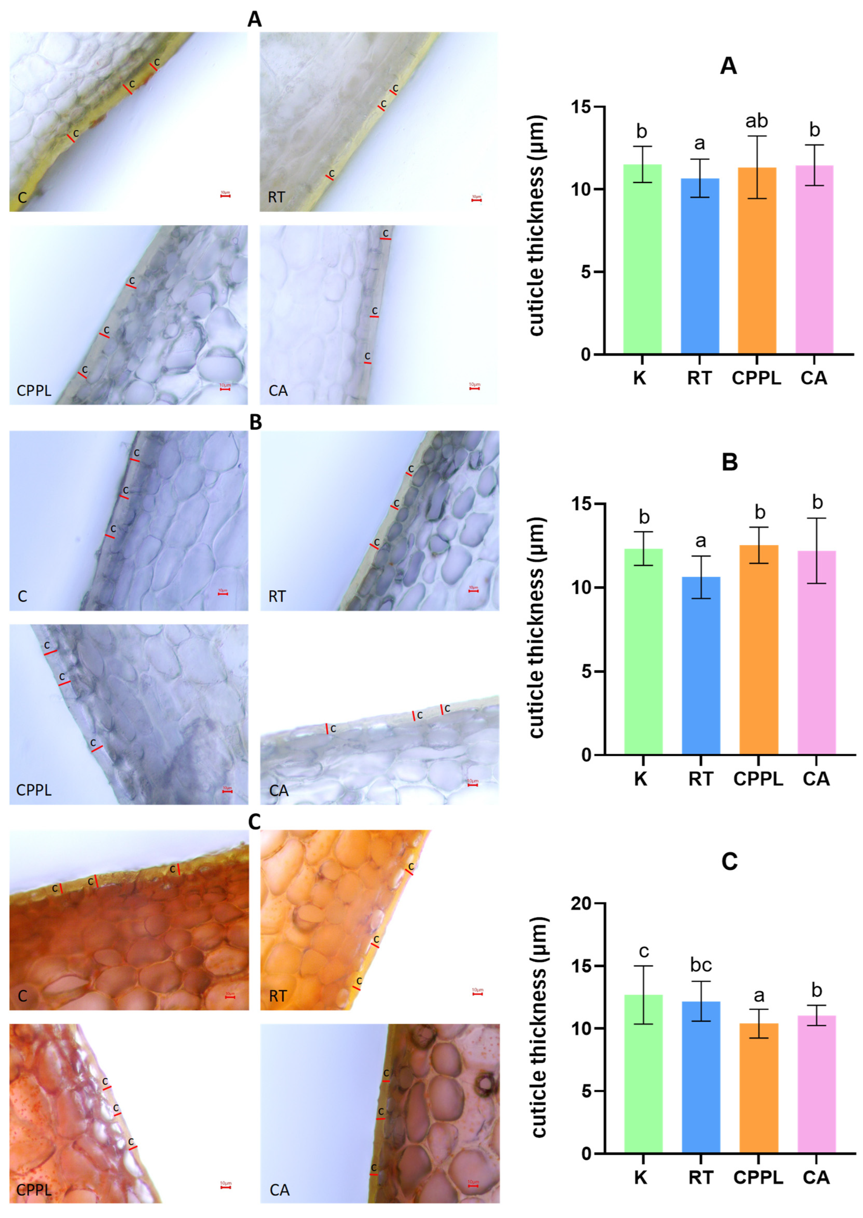 Horticulturae 11 01113 g005 Horticulturae 11 01113 g005