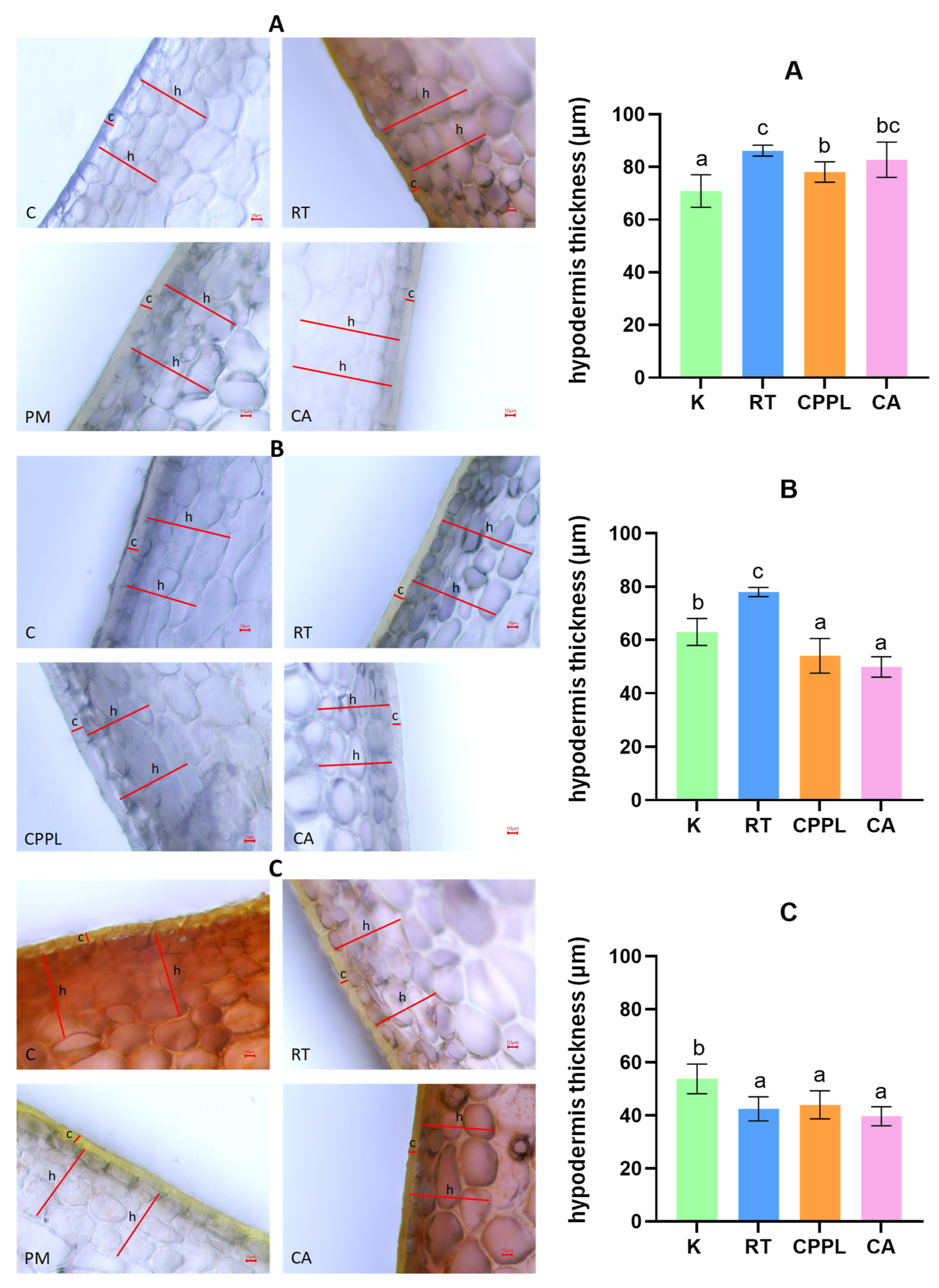 Horticulturae 11 01113 g006 Horticulturae 11 01113 g006