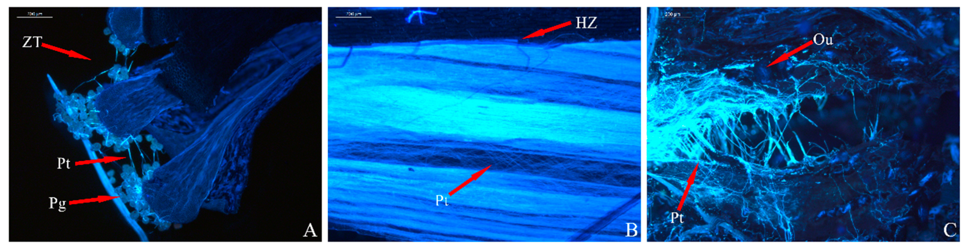 Horticulturae 11 01116 g006 Horticulturae 11 01116 g006