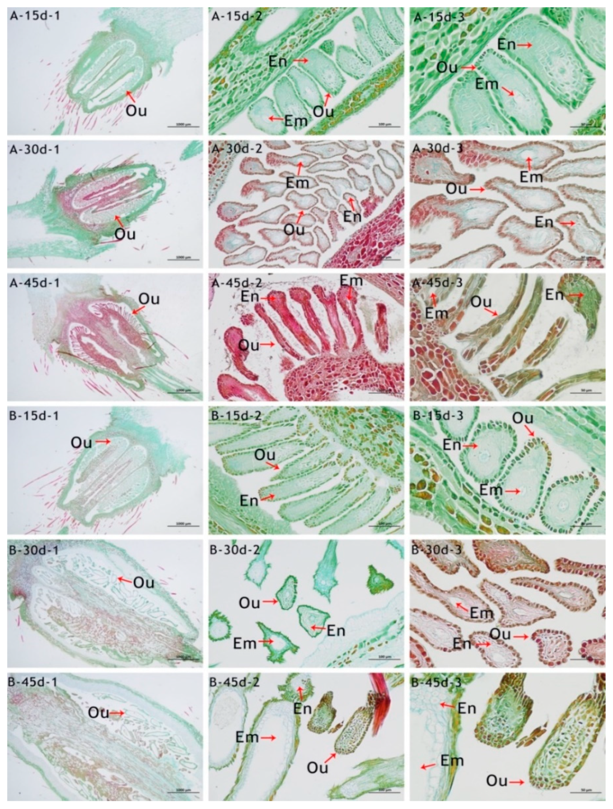 Horticulturae 11 01116 g009 Horticulturae 11 01116 g009