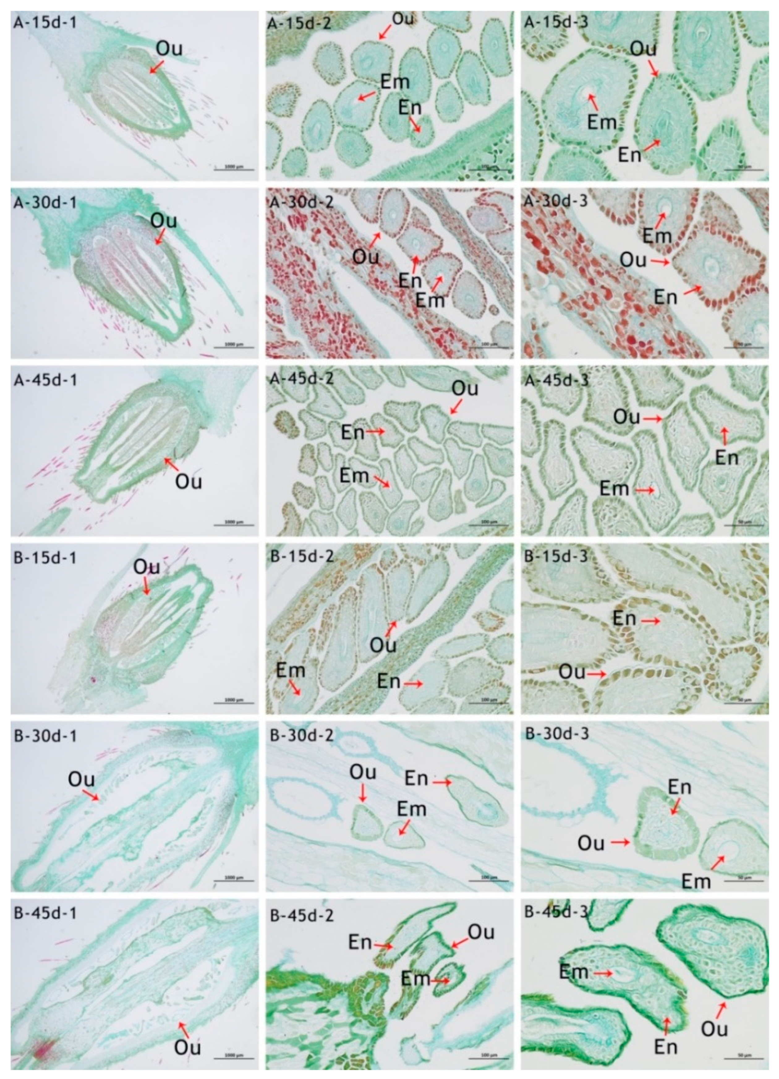 Horticulturae 11 01116 g010 Horticulturae 11 01116 g010
