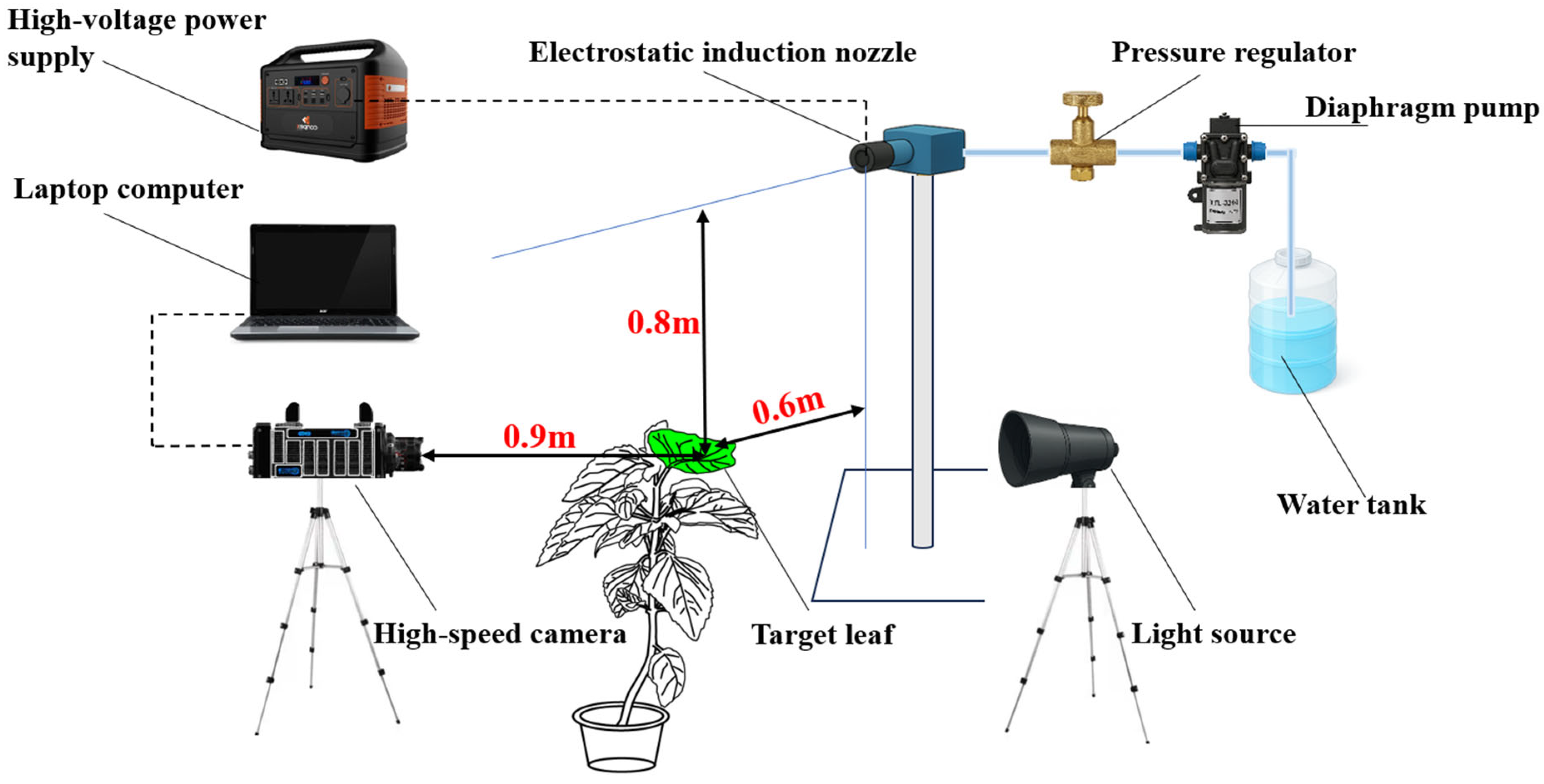 Horticulturae 11 01117 g003 Horticulturae 11 01117 g003
