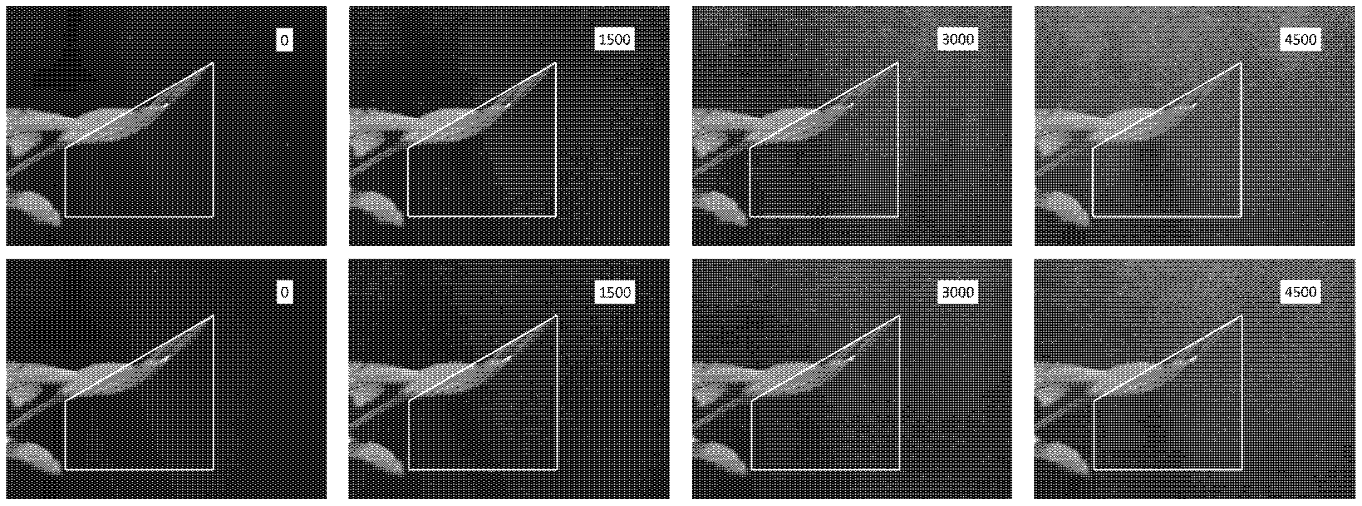 Horticulturae 11 01117 g007 Horticulturae 11 01117 g007