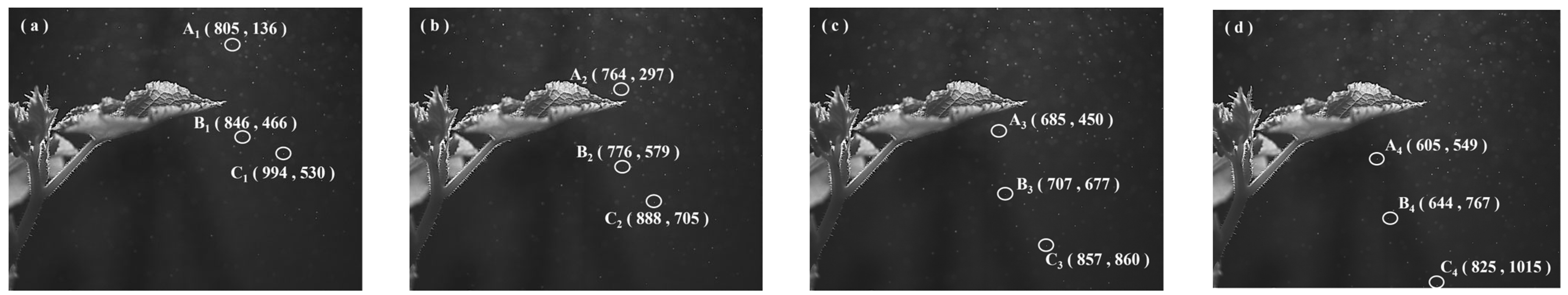 Horticulturae 11 01117 g010 Horticulturae 11 01117 g010