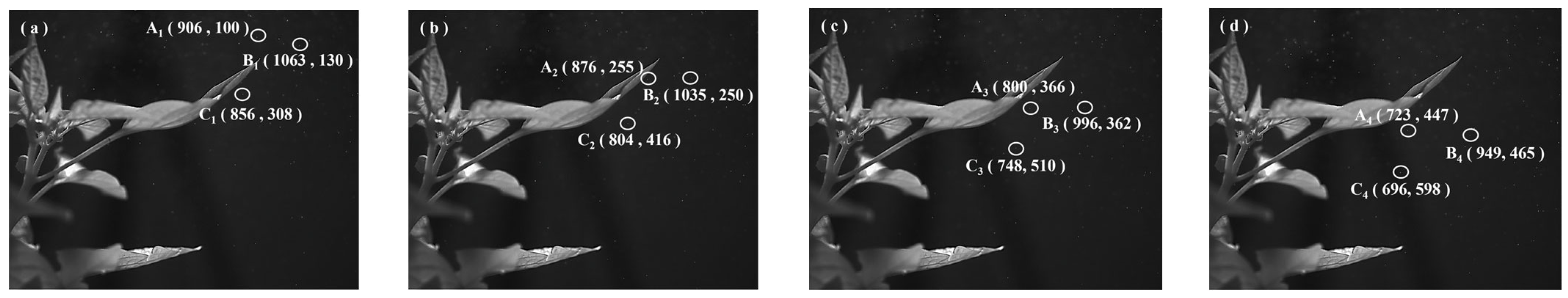 Horticulturae 11 01117 g011 Horticulturae 11 01117 g011