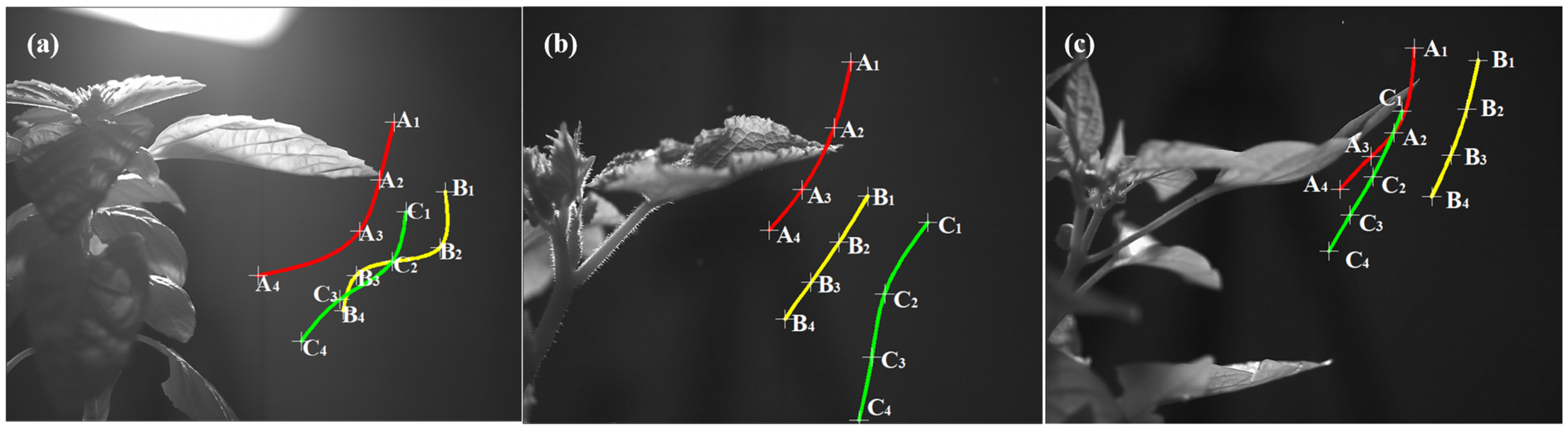Horticulturae 11 01117 g012 Horticulturae 11 01117 g012