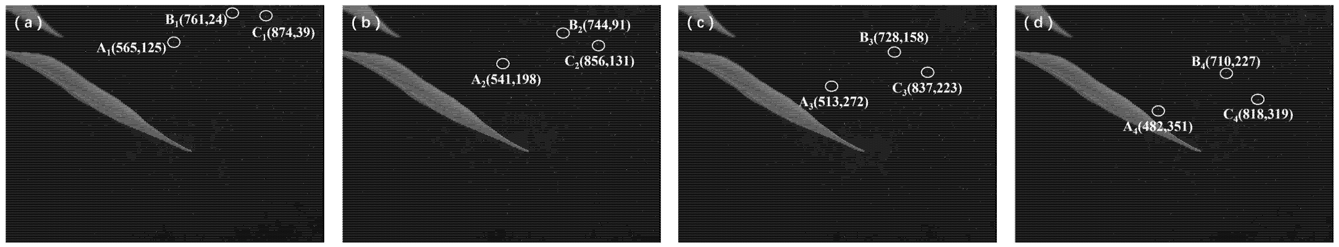 Horticulturae 11 01117 g013 Horticulturae 11 01117 g013