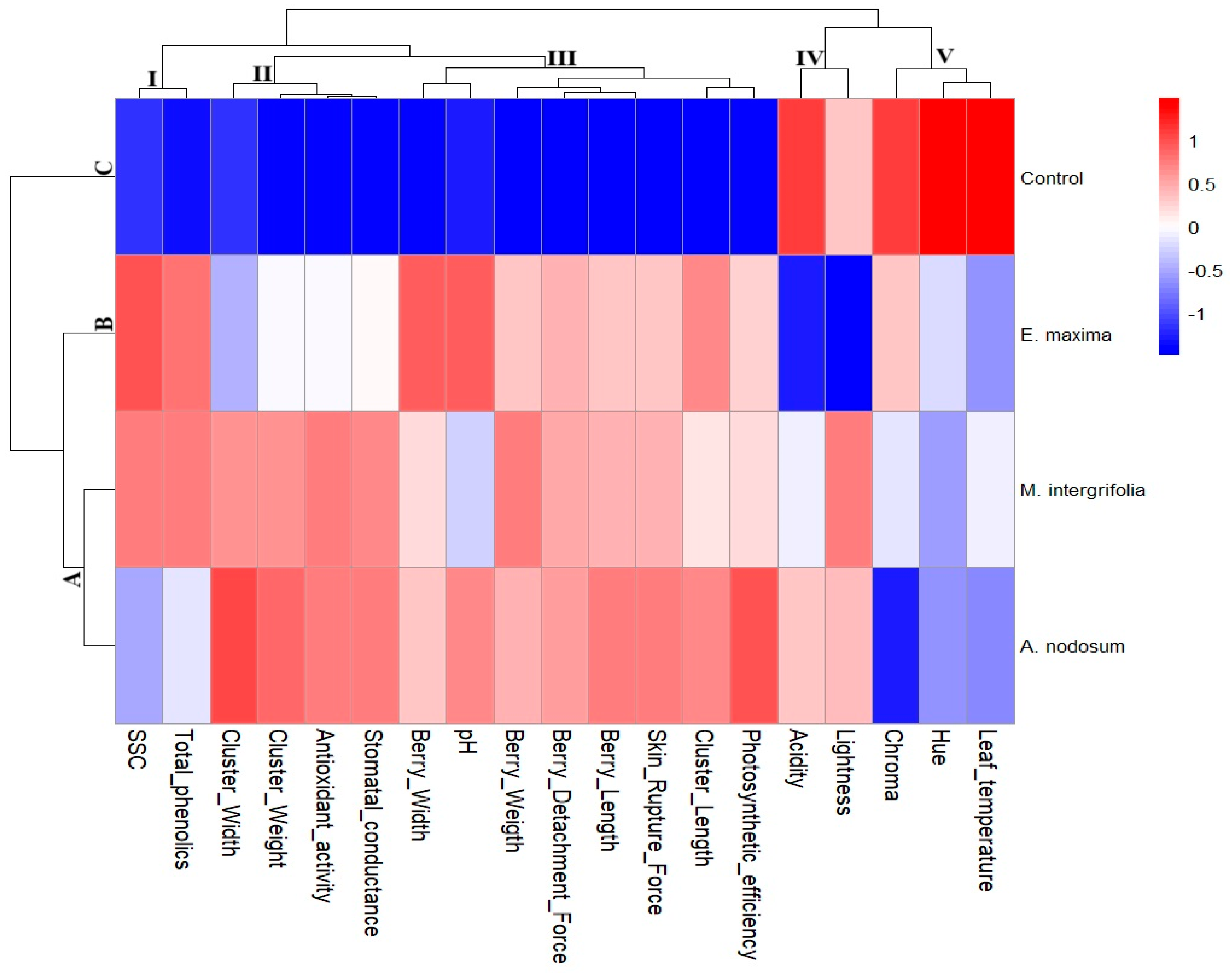 Horticulturae 11 01118 g003 Horticulturae 11 01118 g003