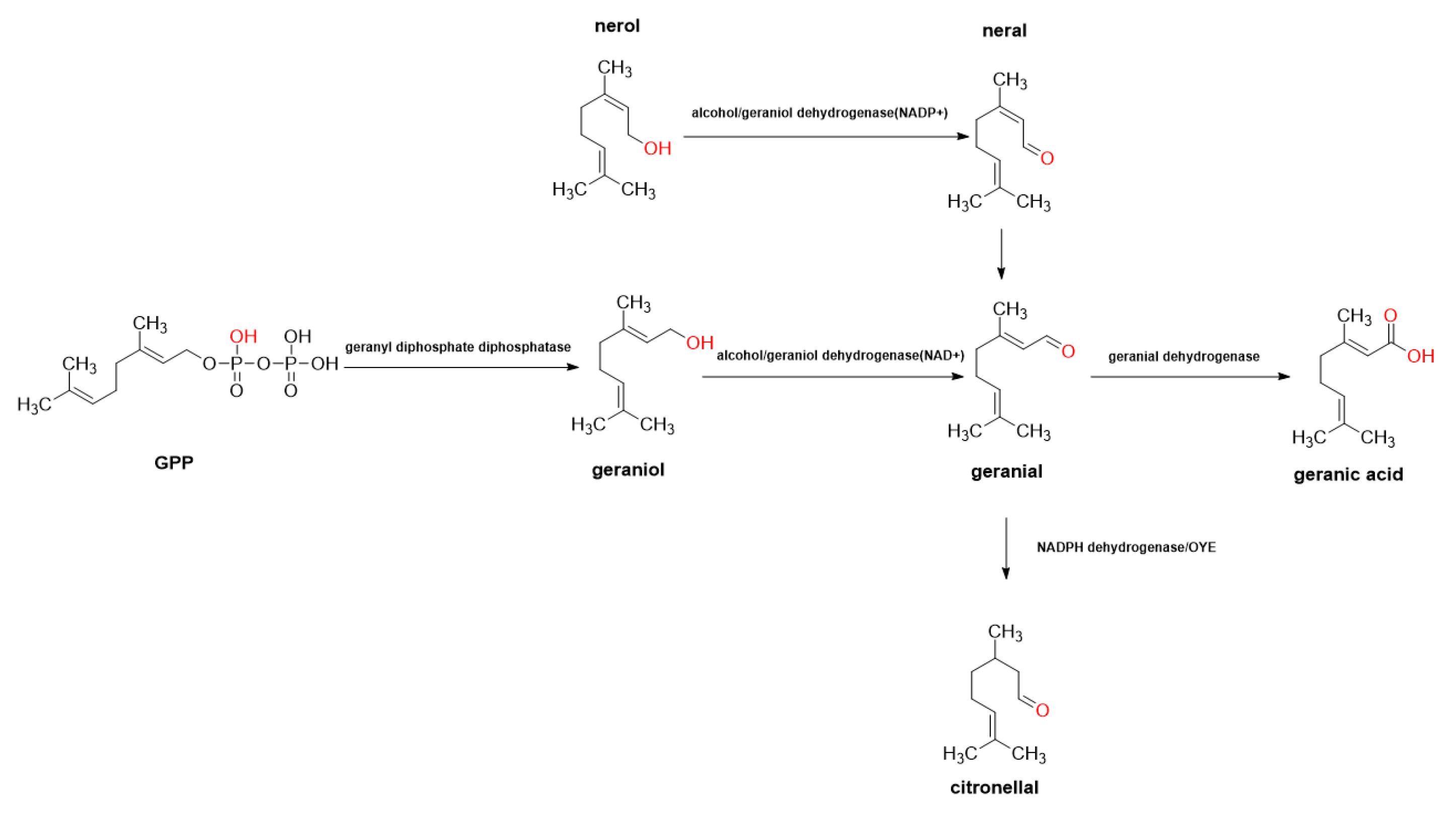 Horticulturae 11 01125 g006 Horticulturae 11 01125 g006