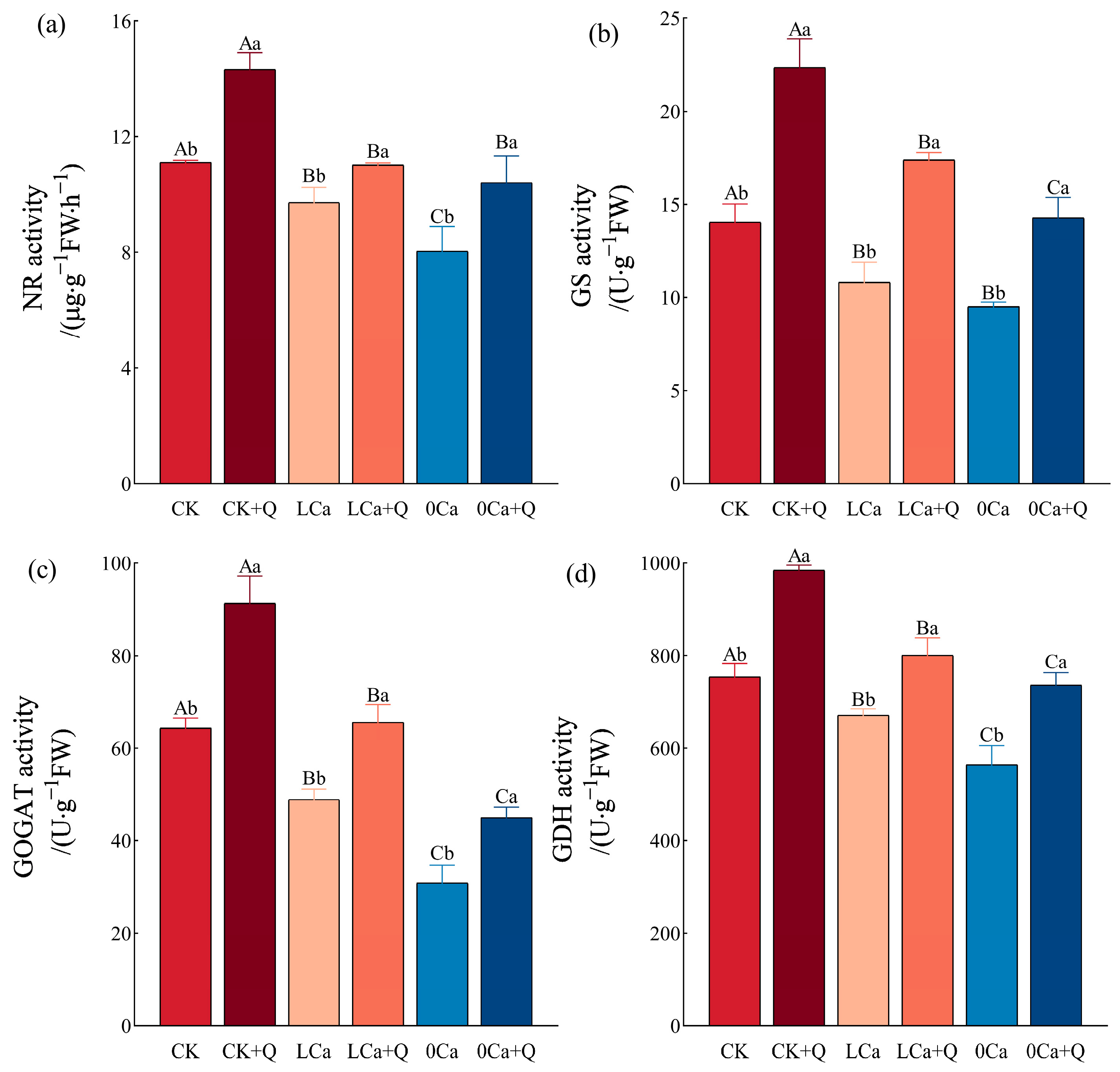 Horticulturae 11 01131 g007