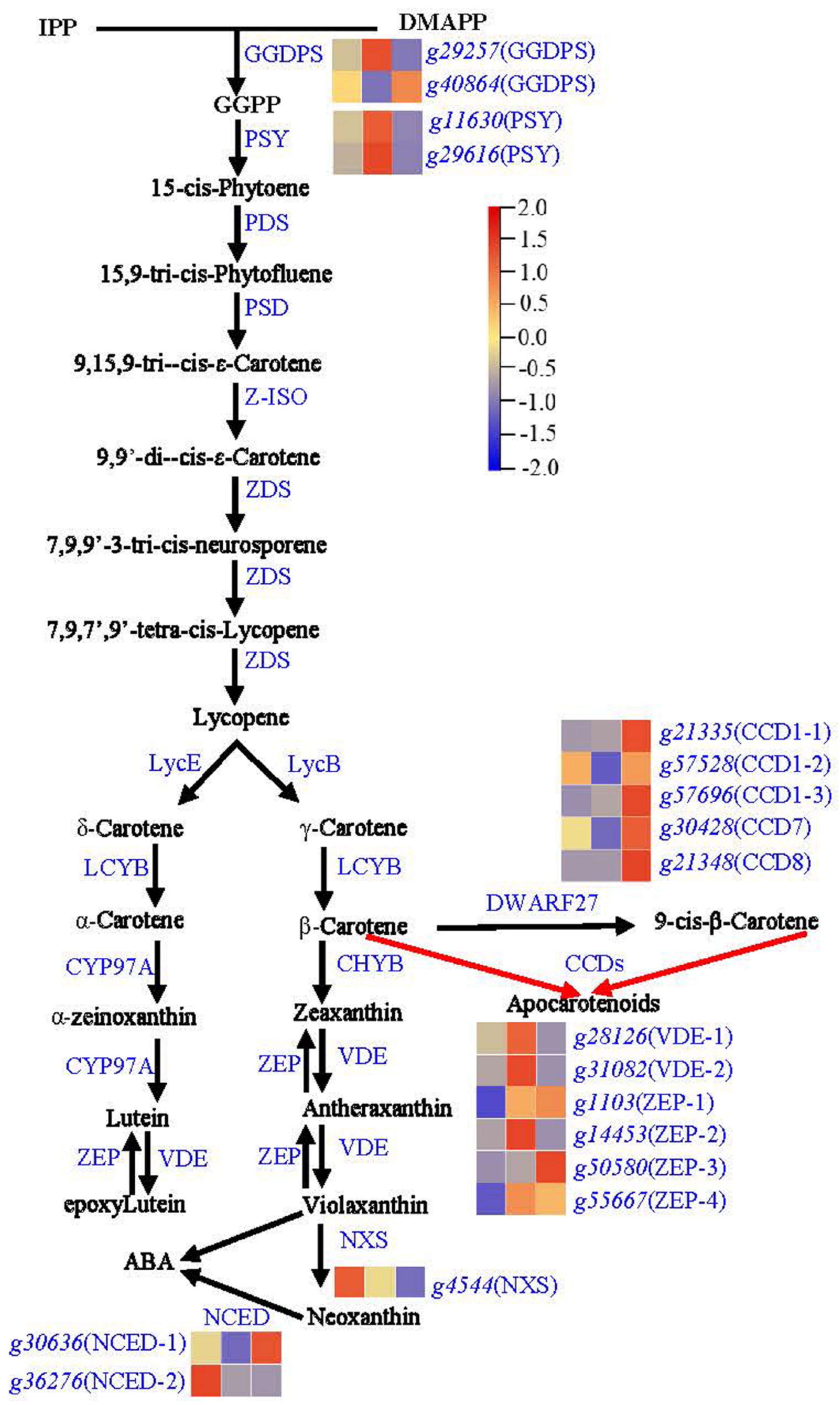 Horticulturae 11 01133 g004 Horticulturae 11 01133 g004