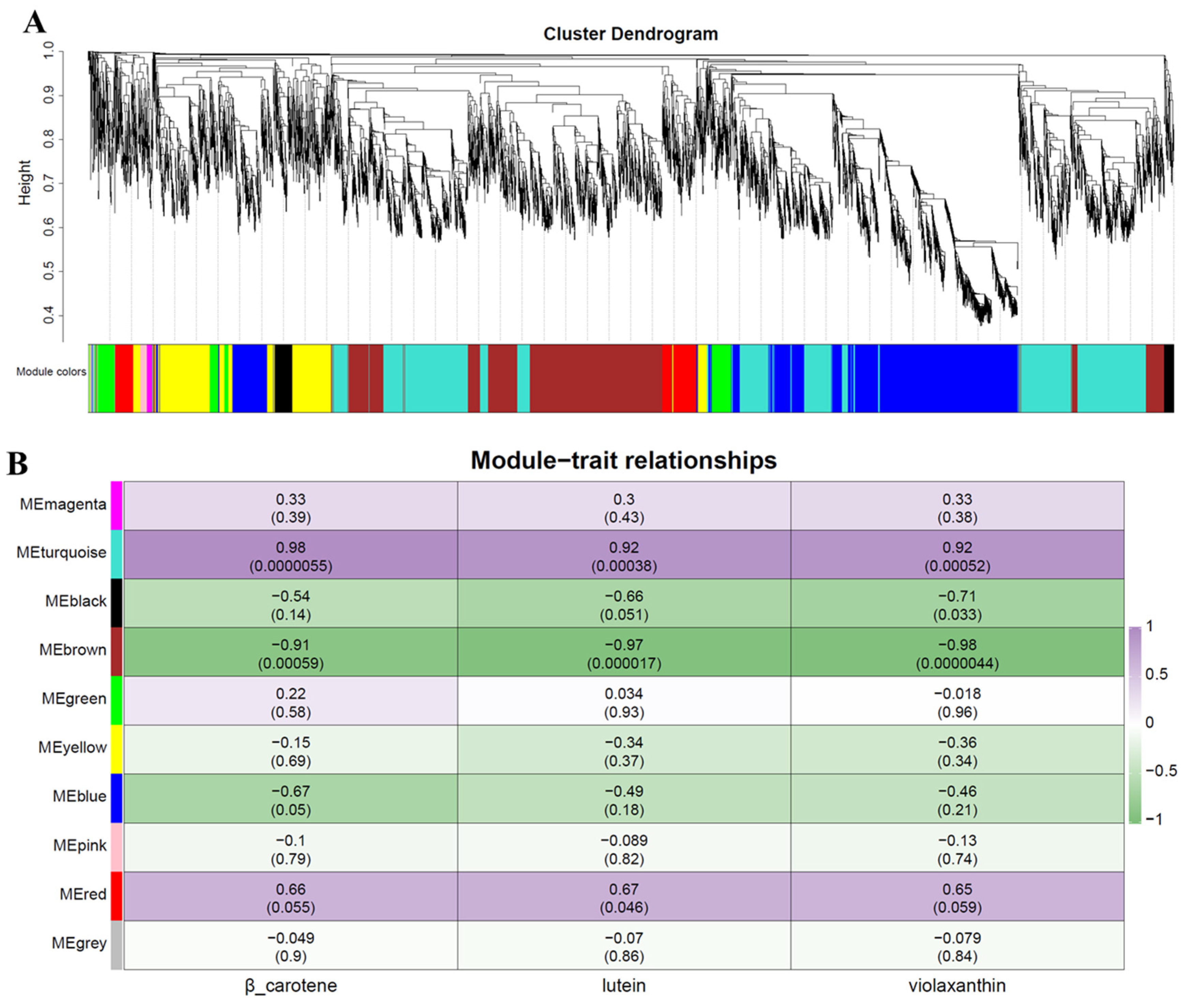Horticulturae 11 01133 g005 Horticulturae 11 01133 g005