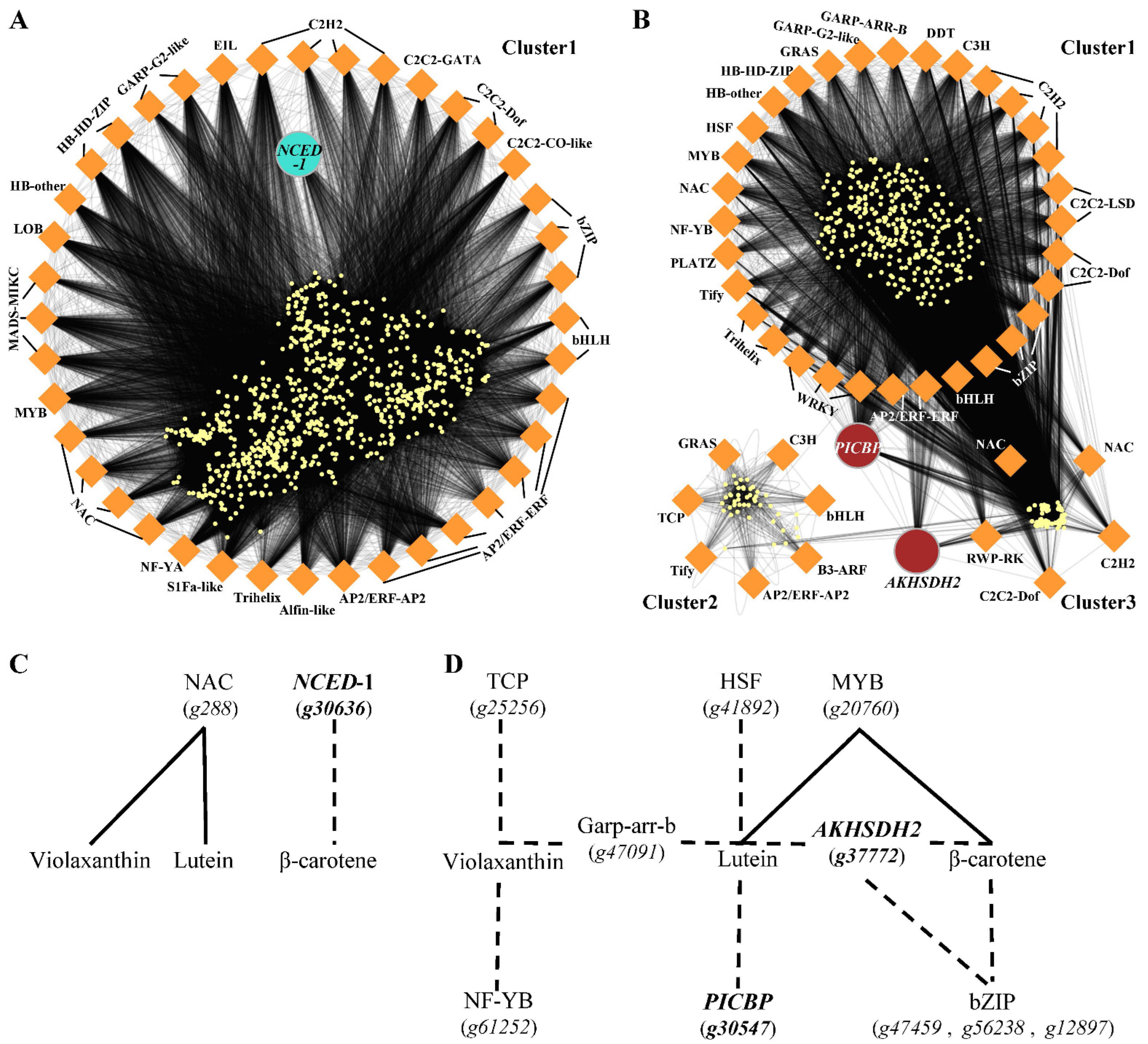 Horticulturae 11 01133 g006 Horticulturae 11 01133 g006