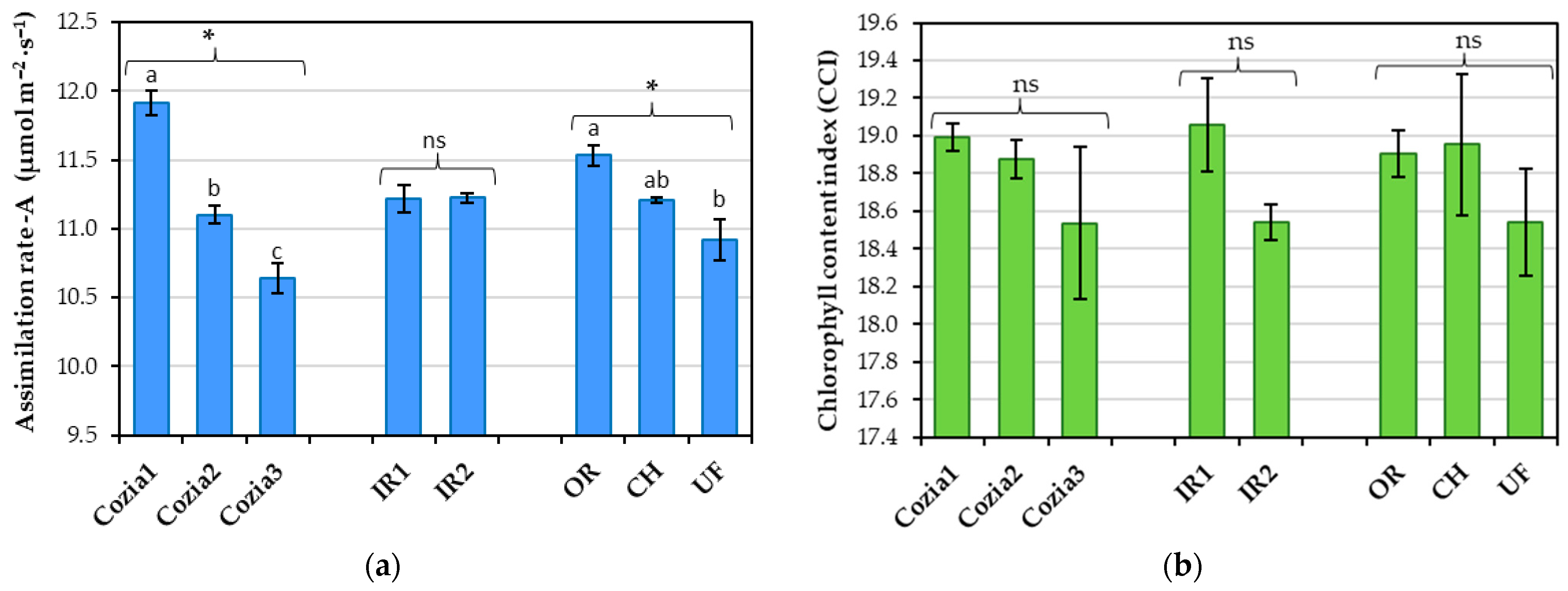 Horticulturae 11 01135 g004 Horticulturae 11 01135 g004