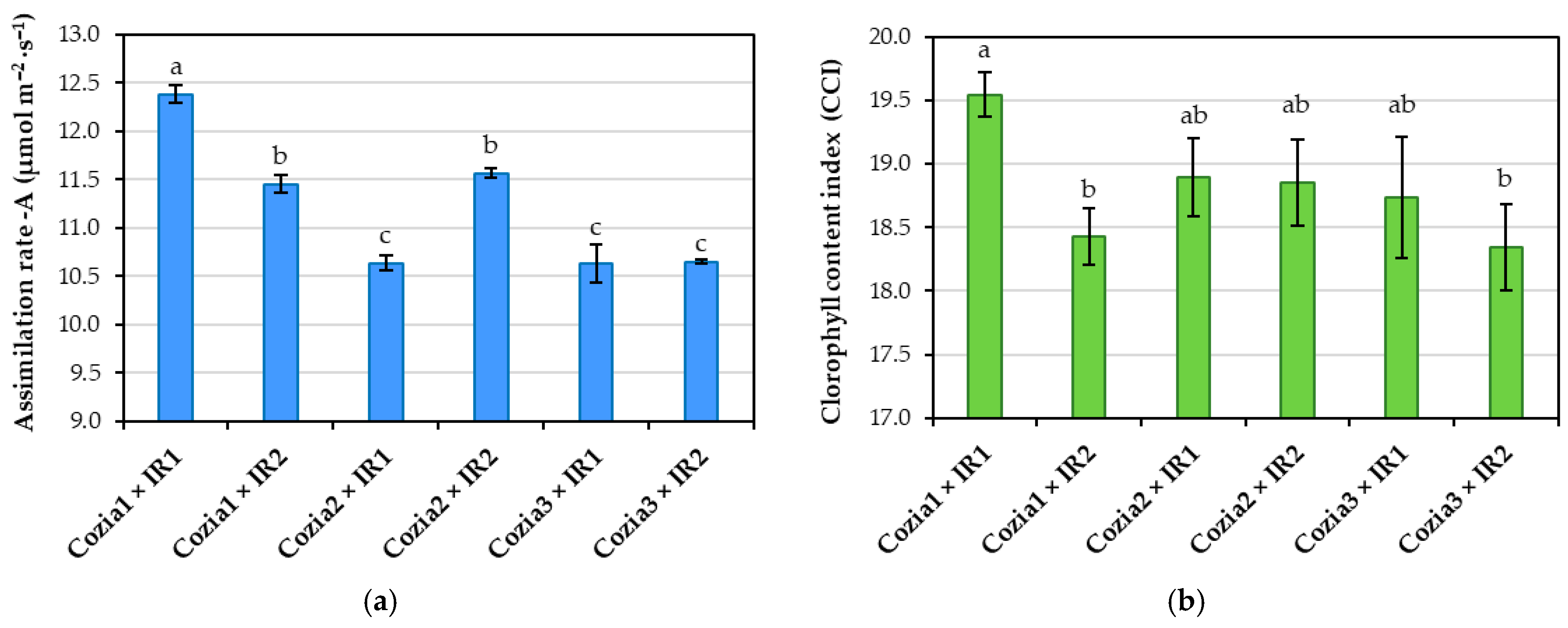 Horticulturae 11 01135 g005 Horticulturae 11 01135 g005