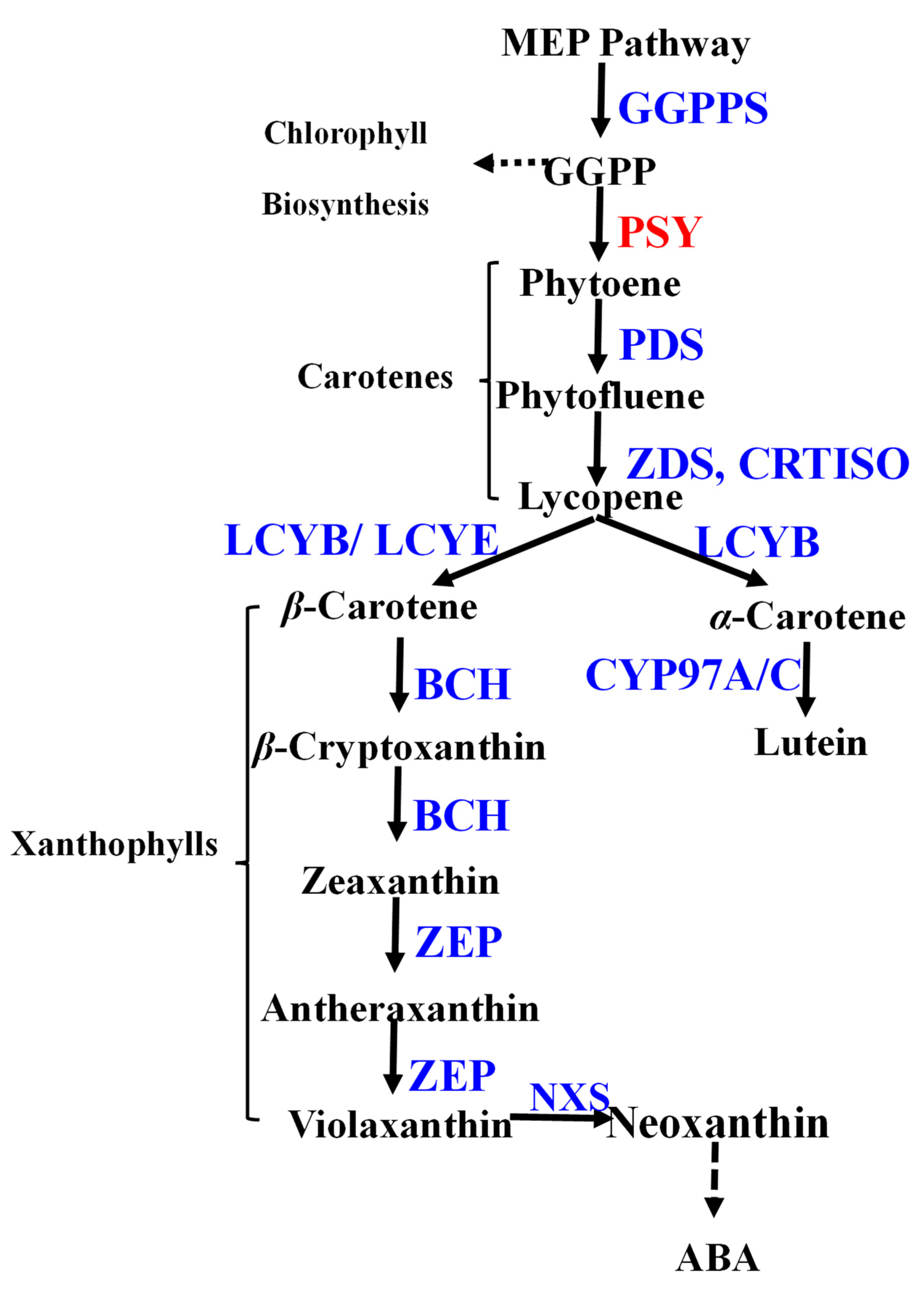 Horticulturae 11 01137 g001