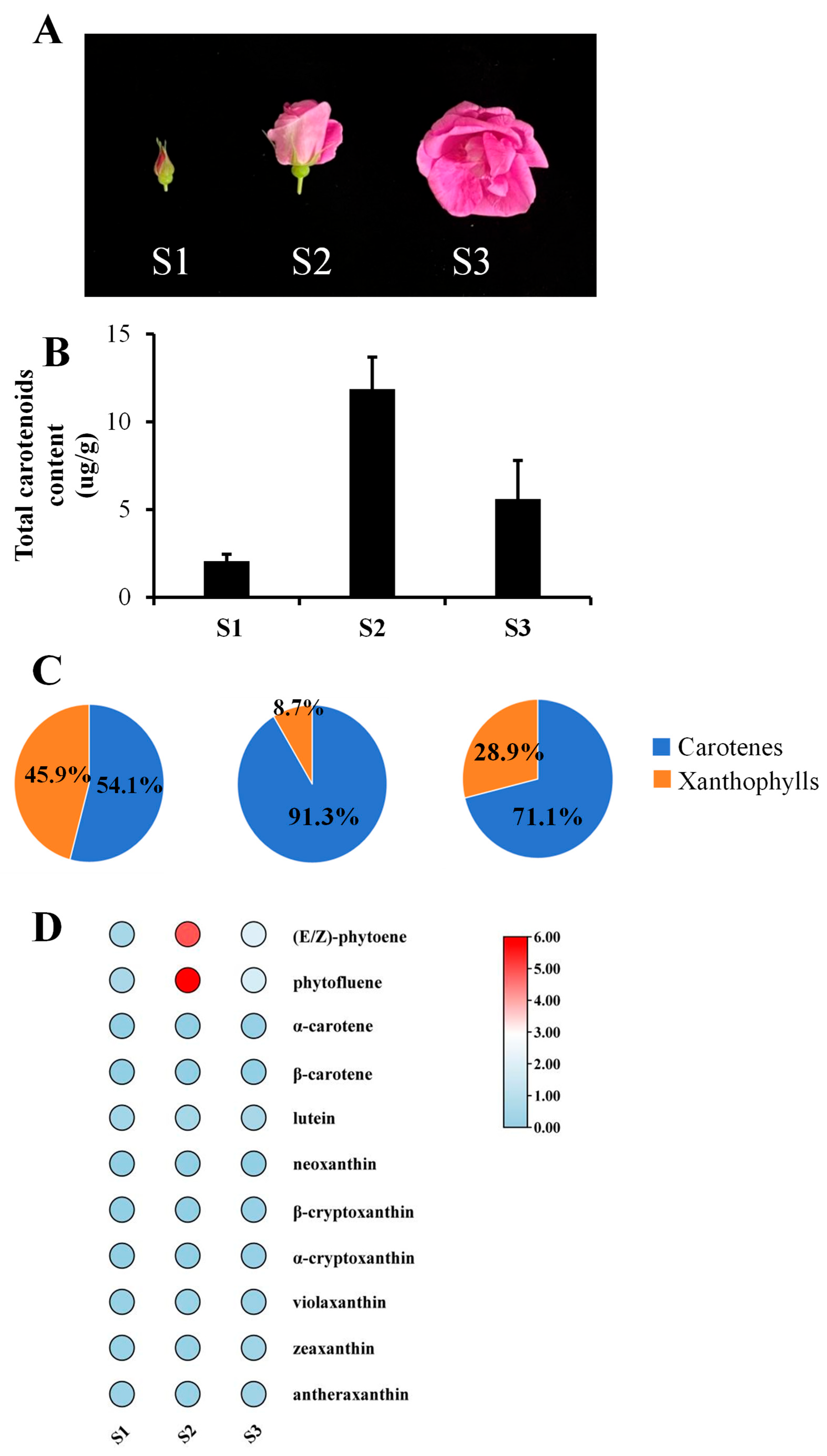 Horticulturae 11 01137 g002