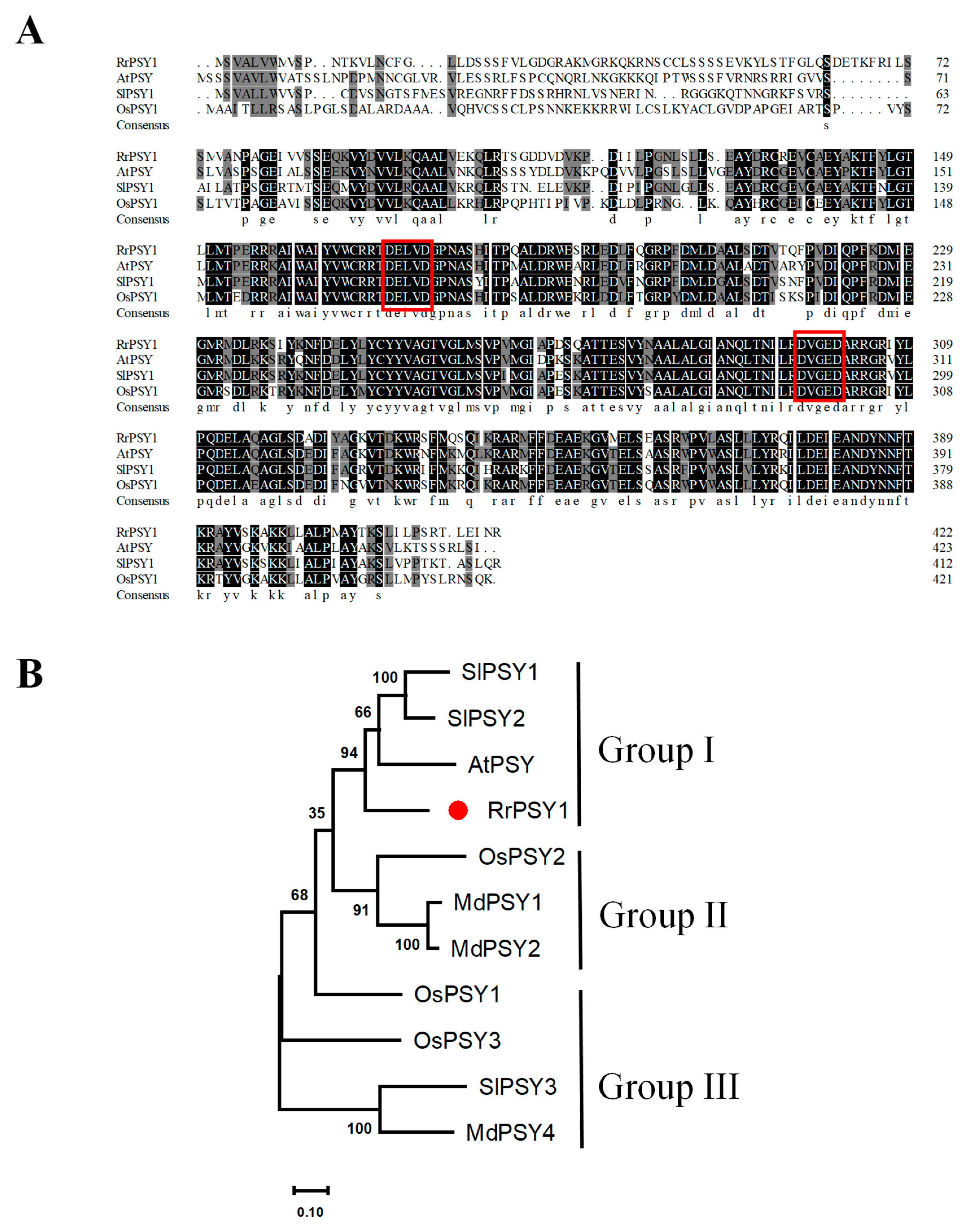 Horticulturae 11 01137 g003