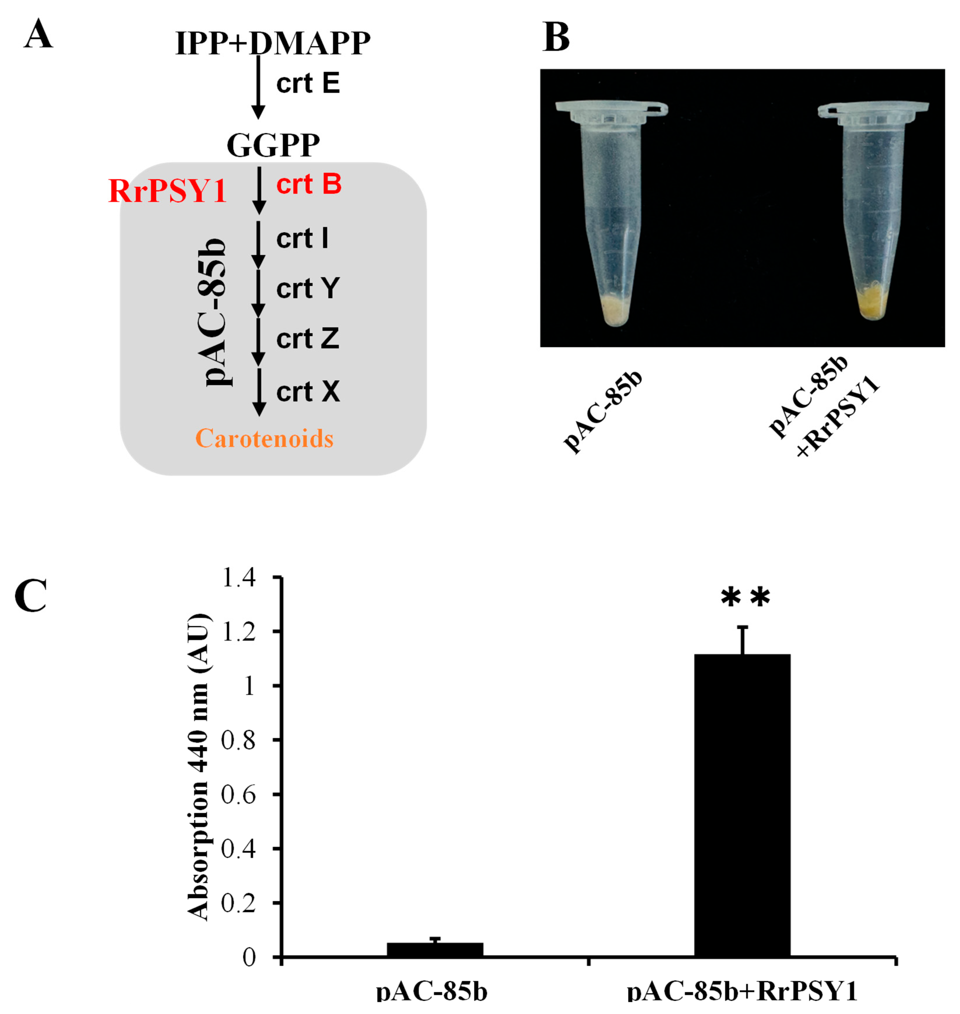 Horticulturae 11 01137 g005