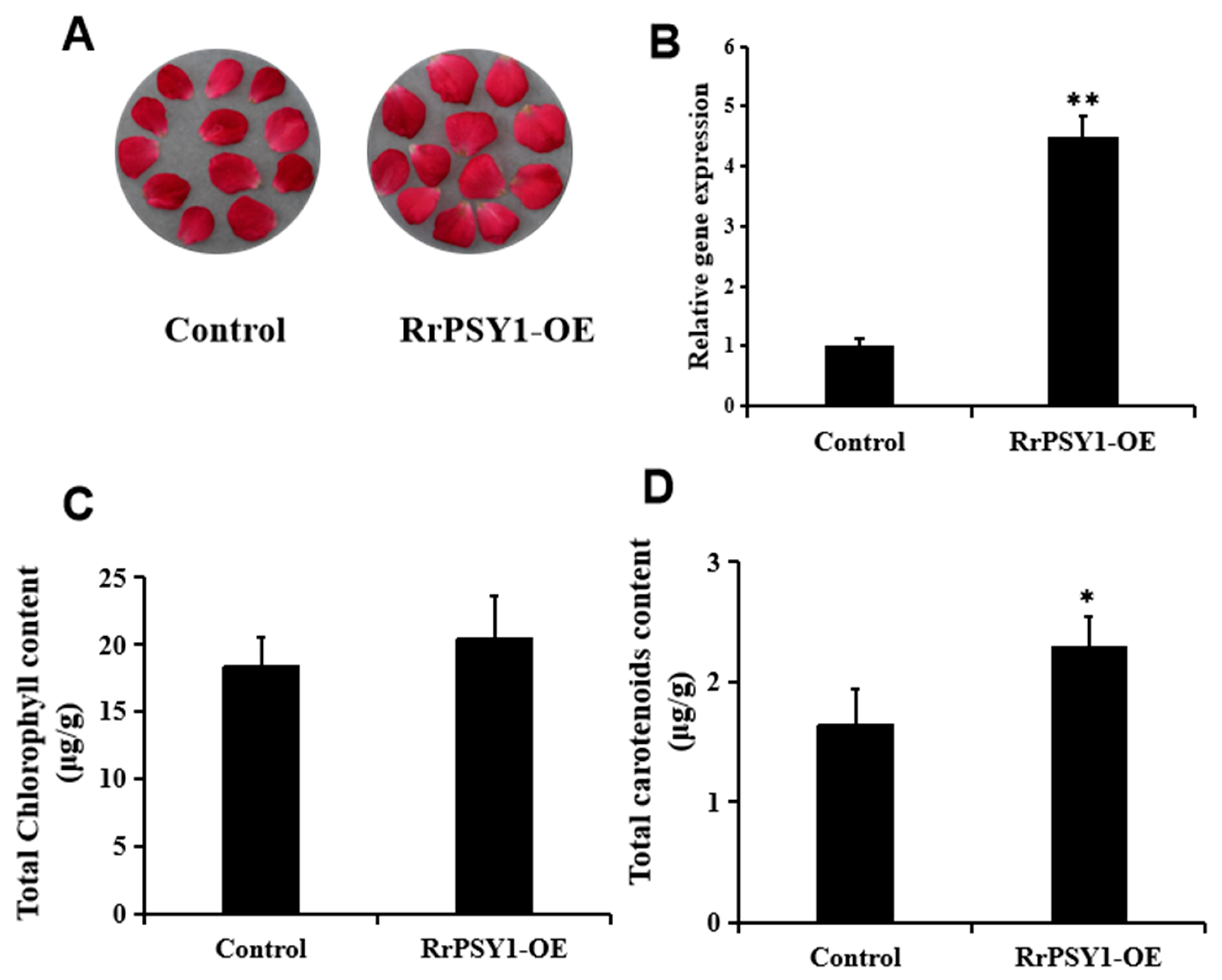Horticulturae 11 01137 g006