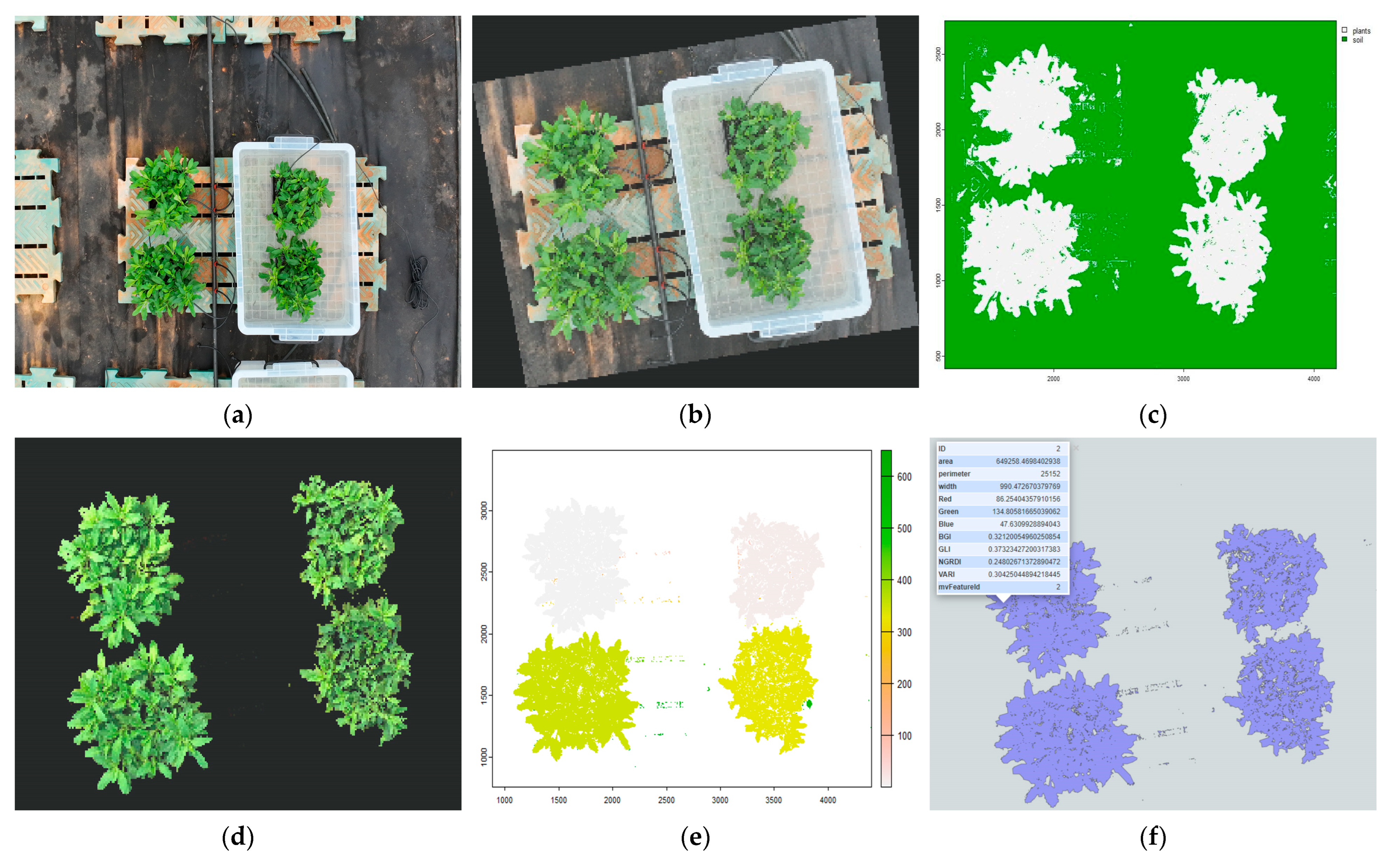 Horticulturae 11 01139 g003