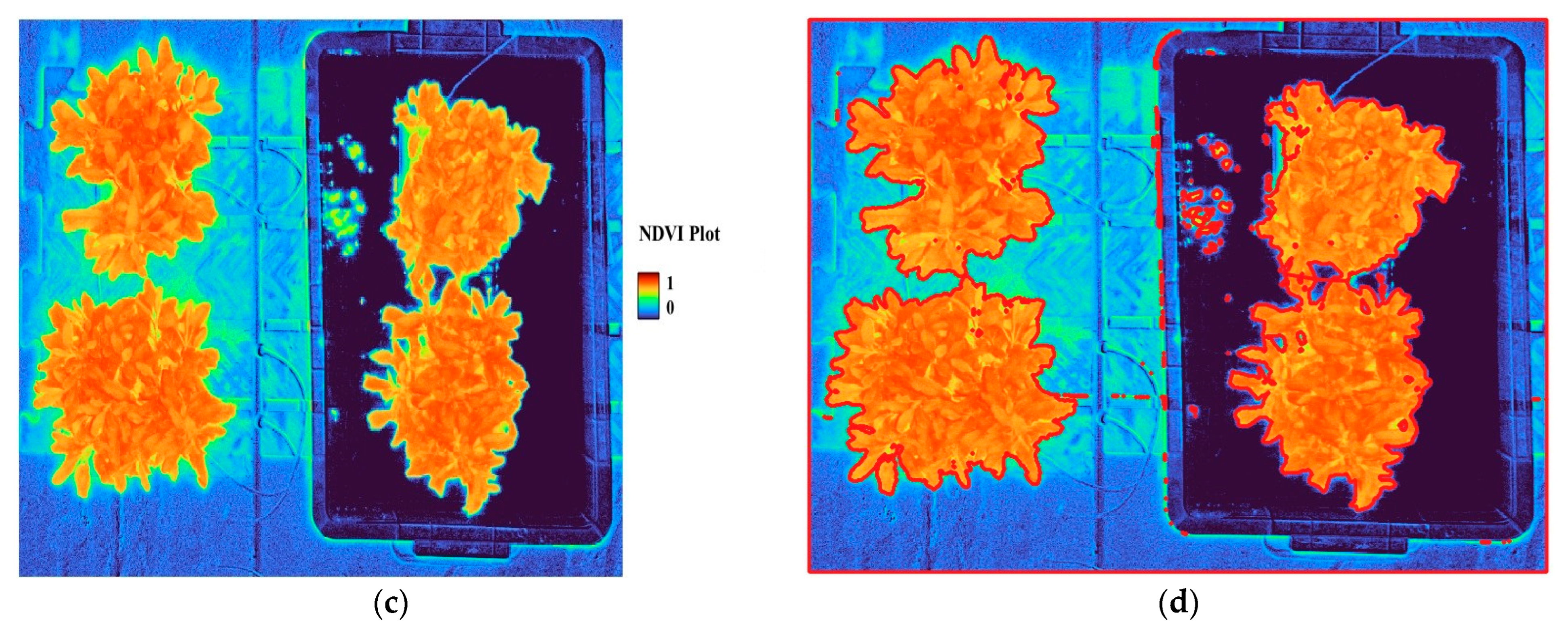 Horticulturae 11 01139 g004b