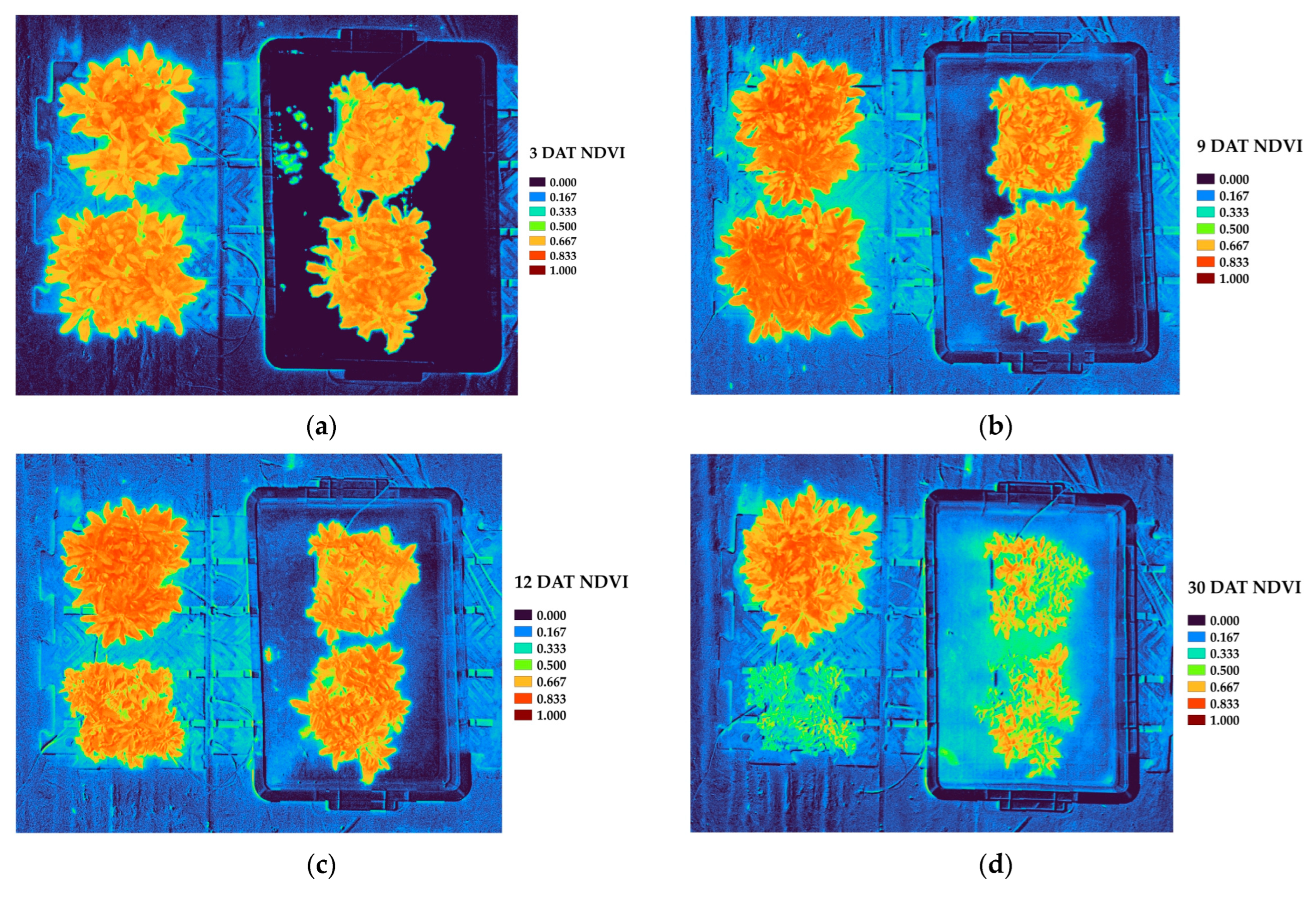 Horticulturae 11 01139 g008