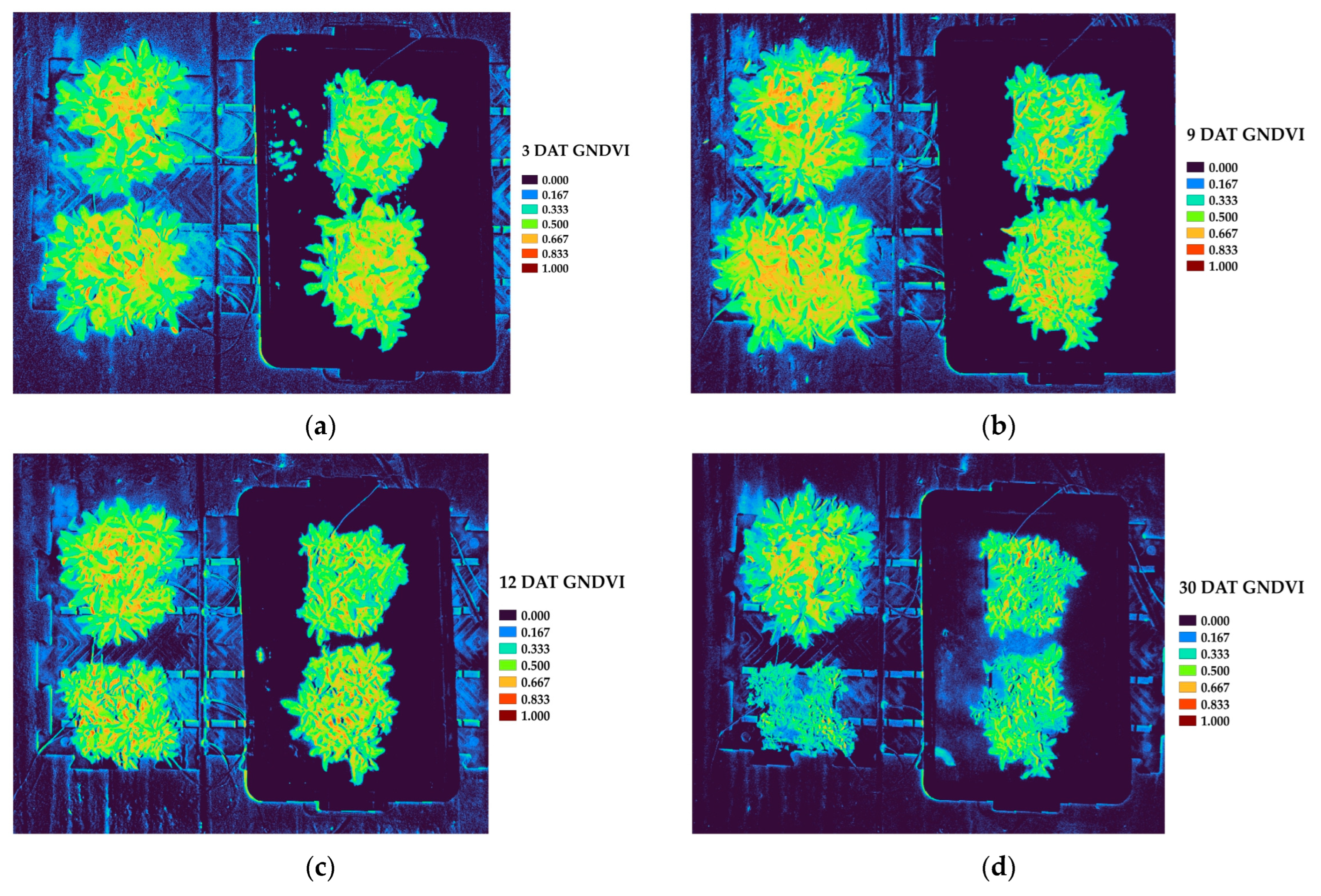 Horticulturae 11 01139 g009