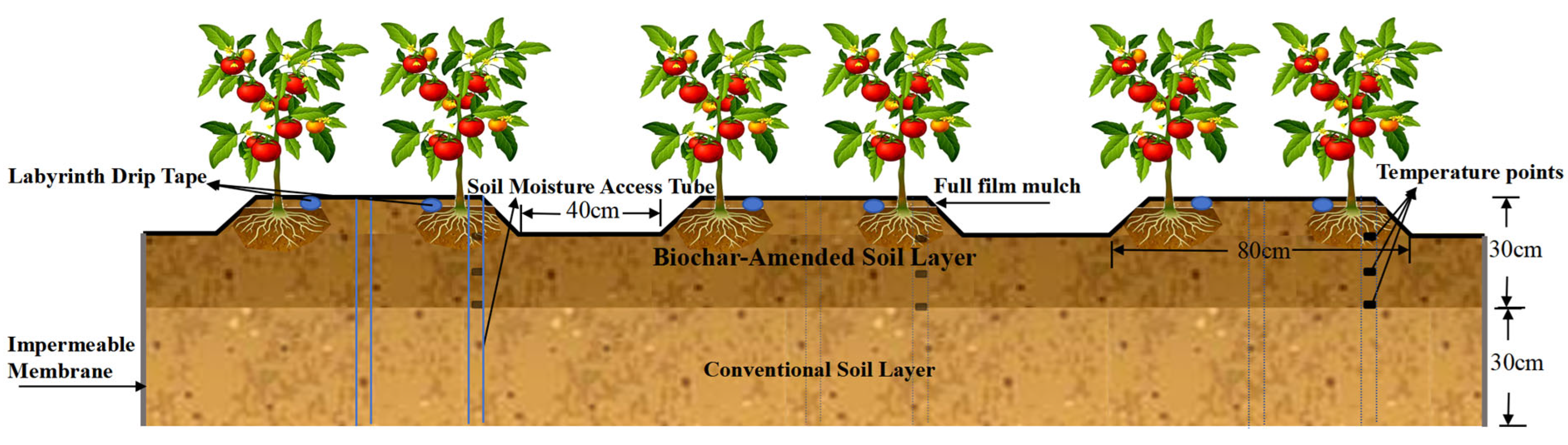 Horticulturae 11 01143 g001 Horticulturae 11 01143 g001