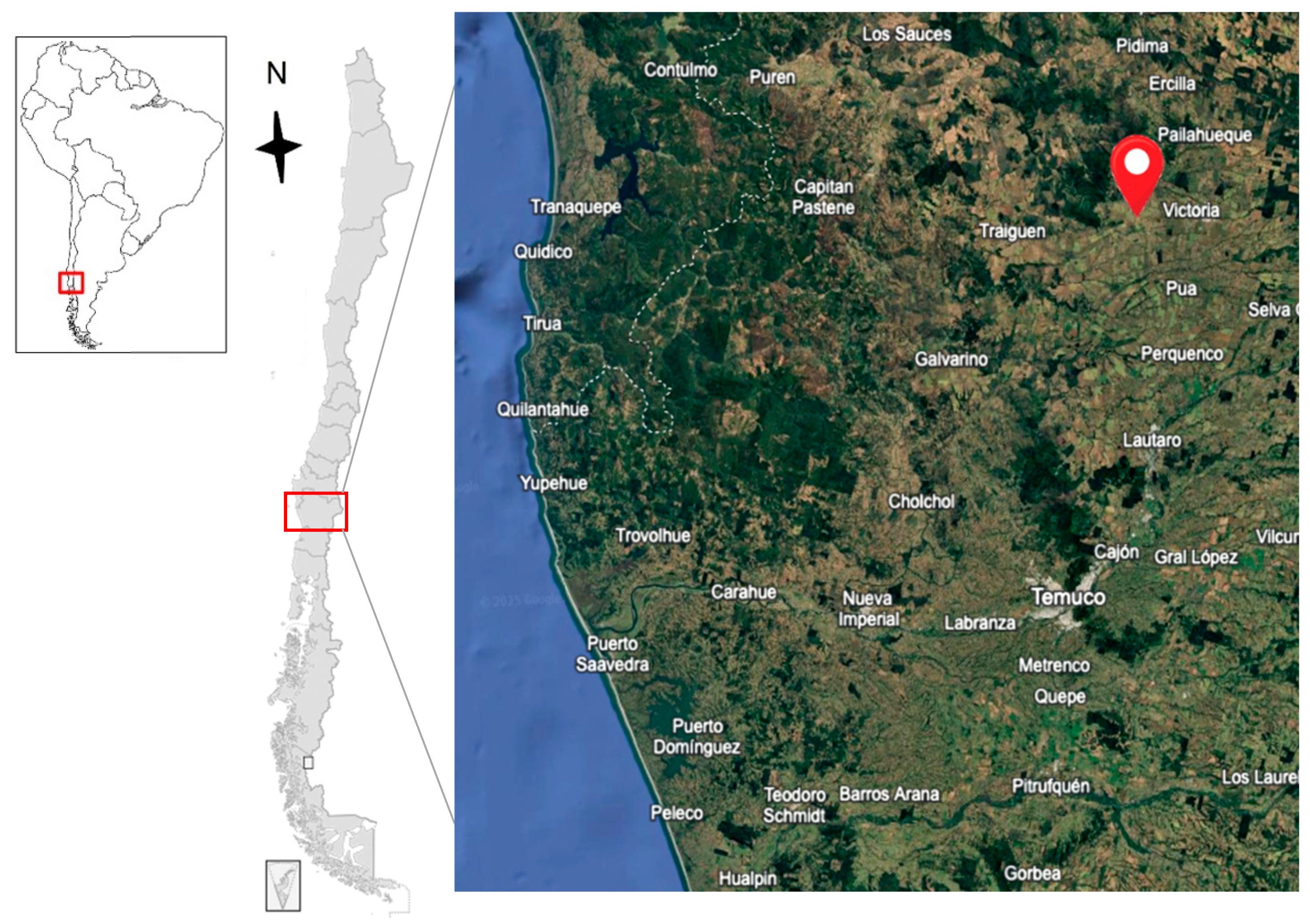 Horticulturae 11 01144 g001 Horticulturae 11 01144 g001