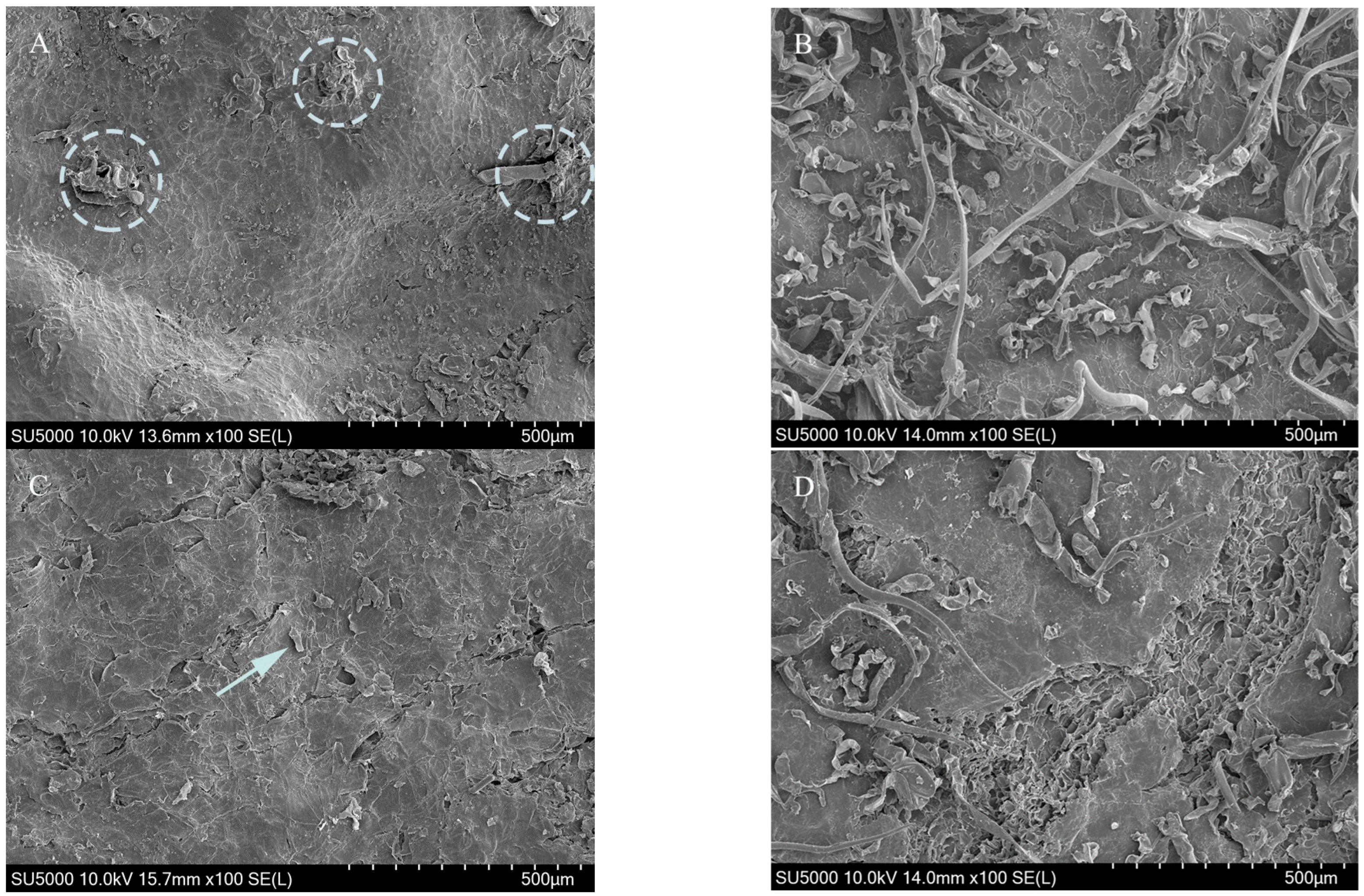 Horticulturae 11 01152 g002 Horticulturae 11 01152 g002