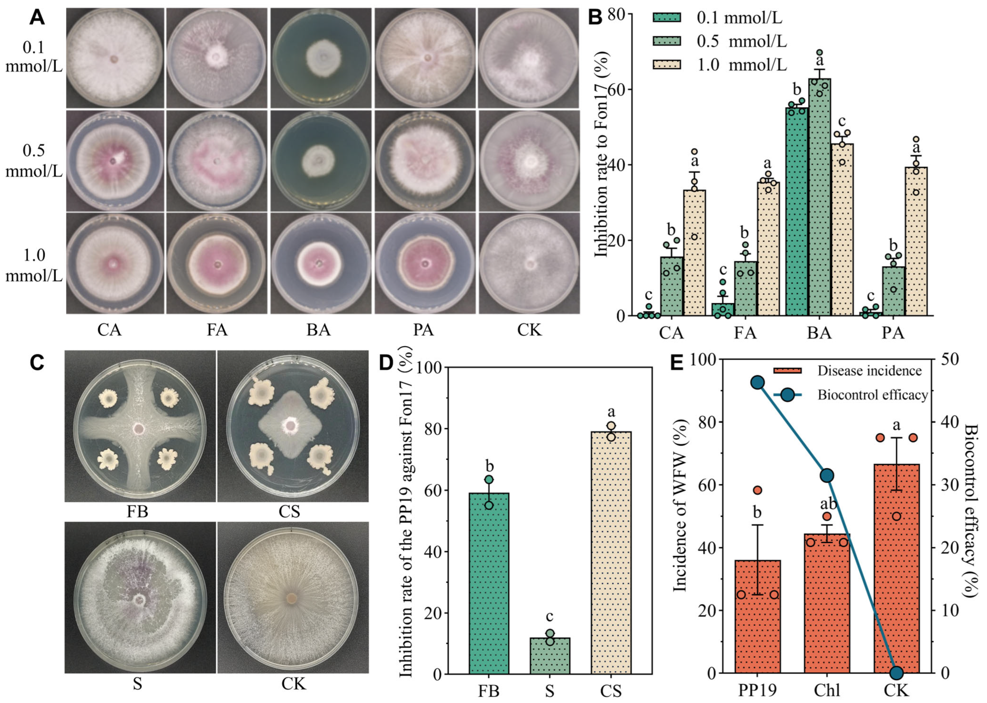 Horticulturae 11 01155 g002