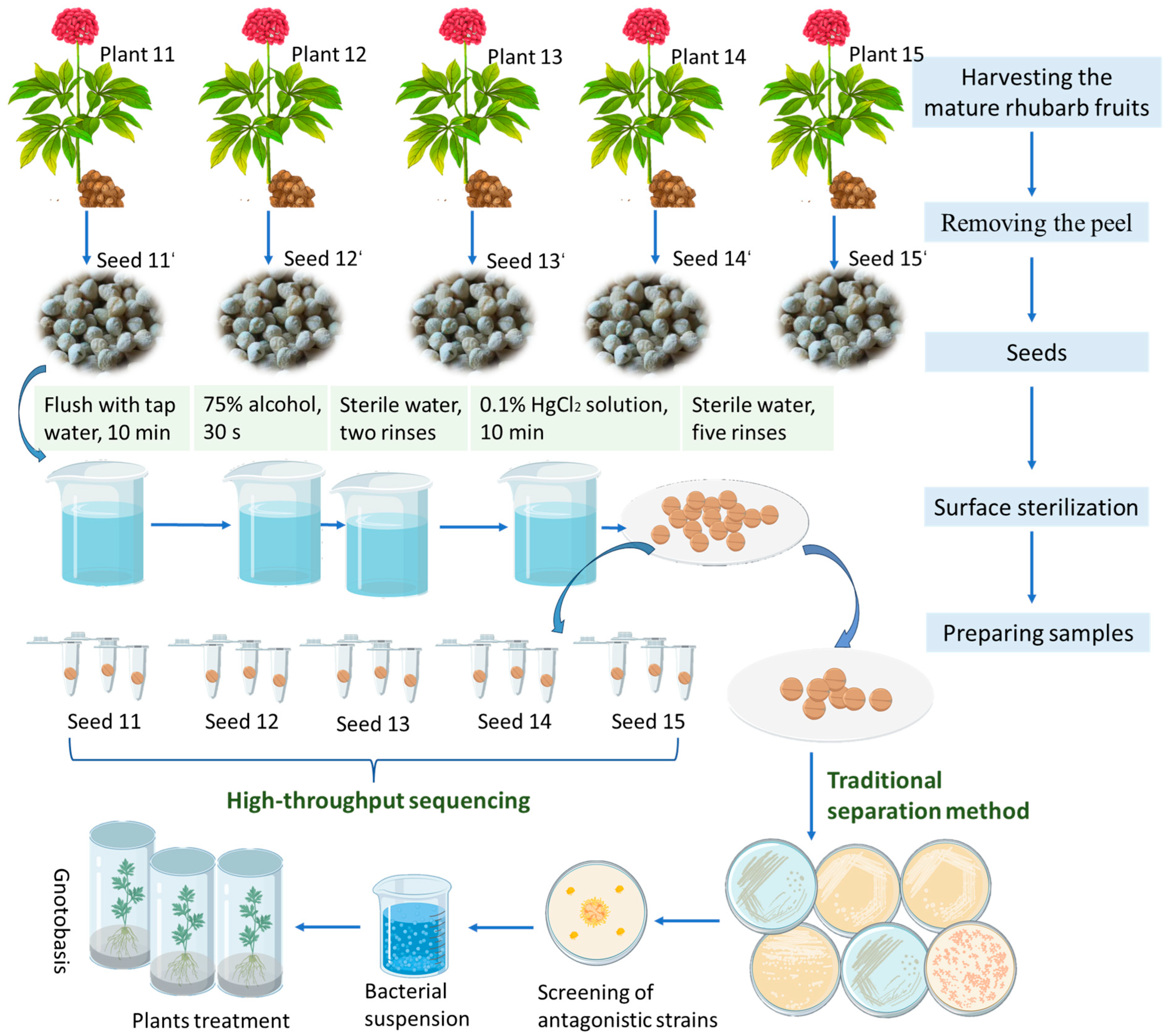 Horticulturae 11 01162 g001