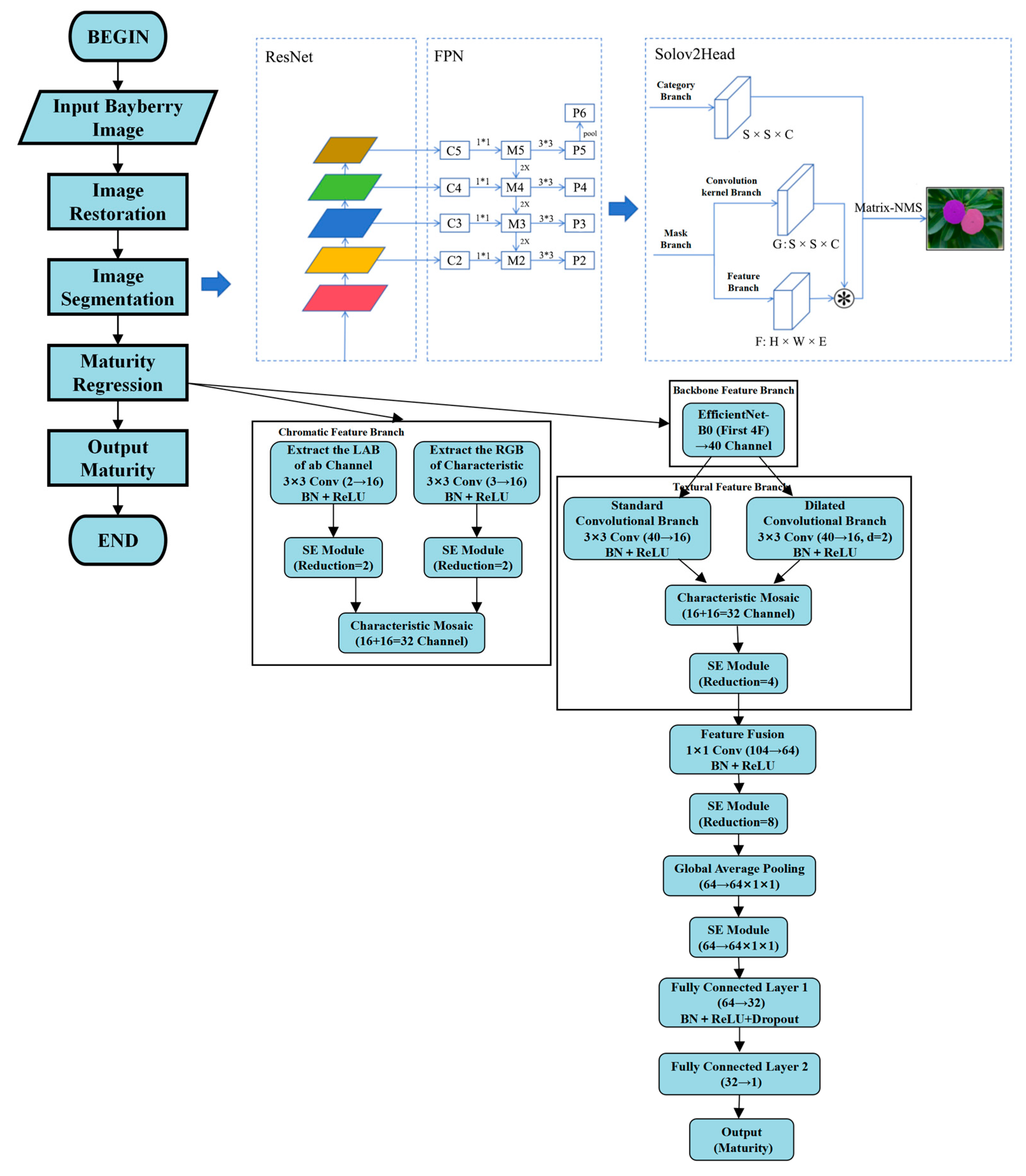Horticulturae 11 01166 g001