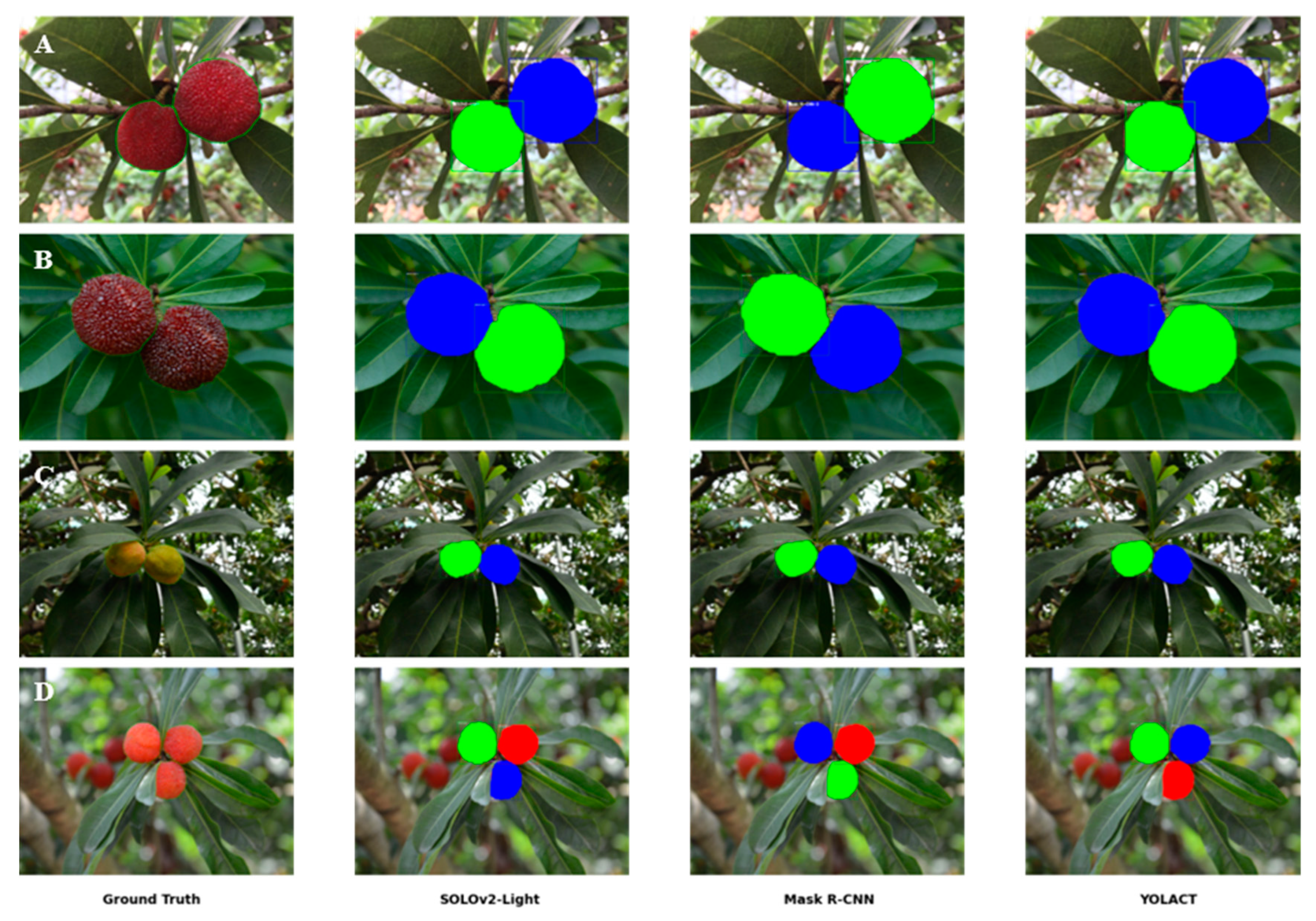 Horticulturae 11 01166 g006