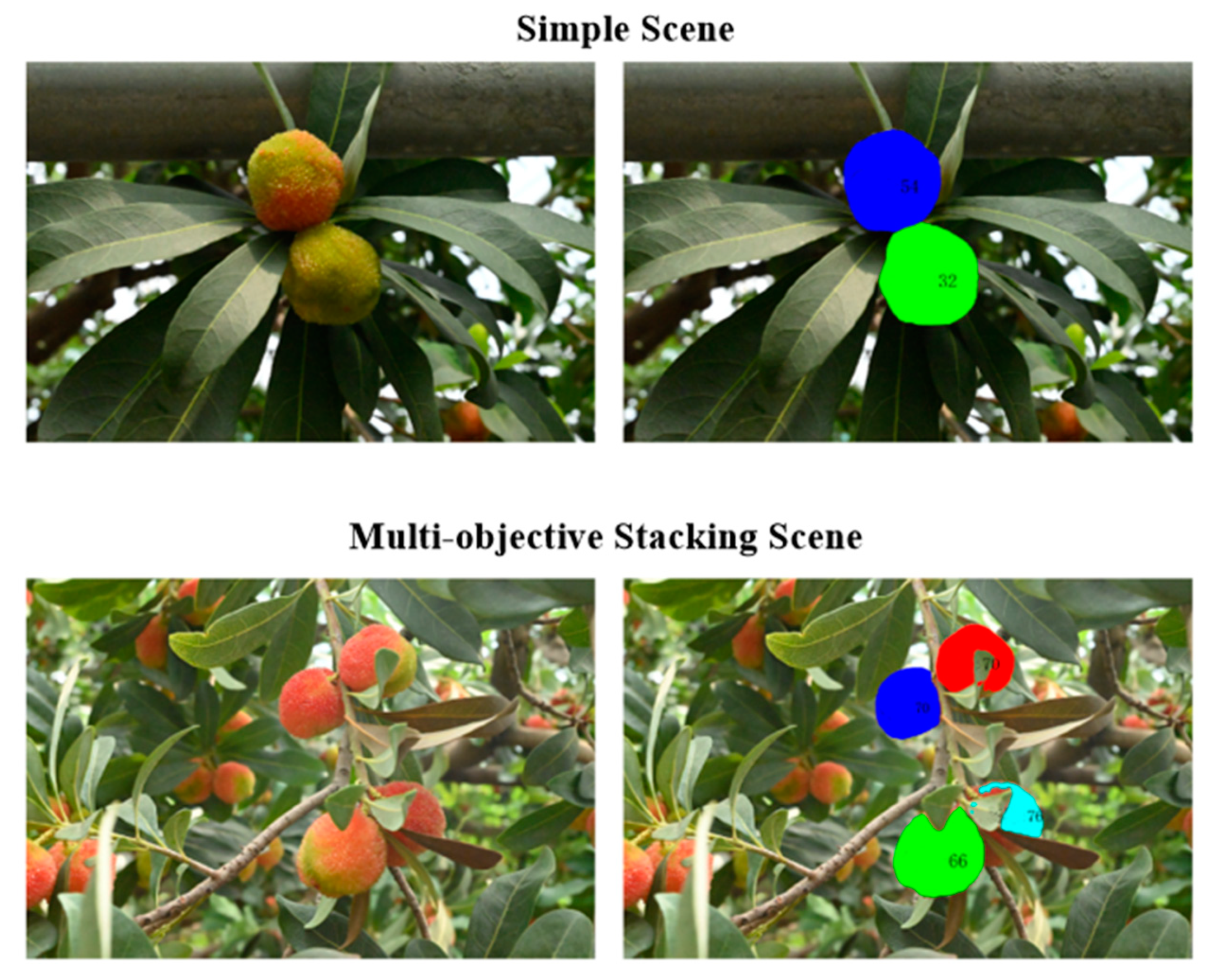 Horticulturae 11 01166 g007