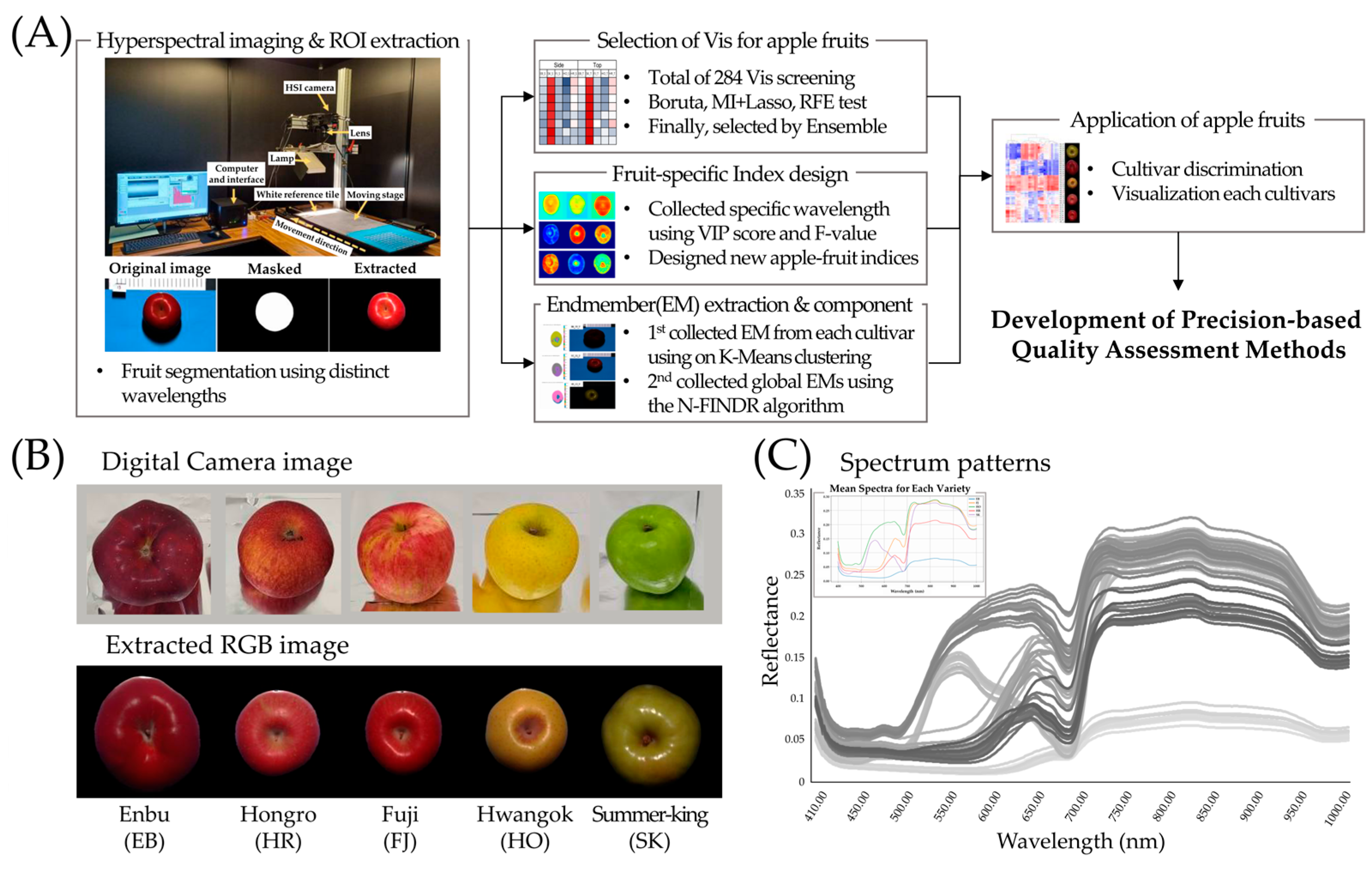 Horticulturae 11 01177 g001 Horticulturae 11 01177 g001