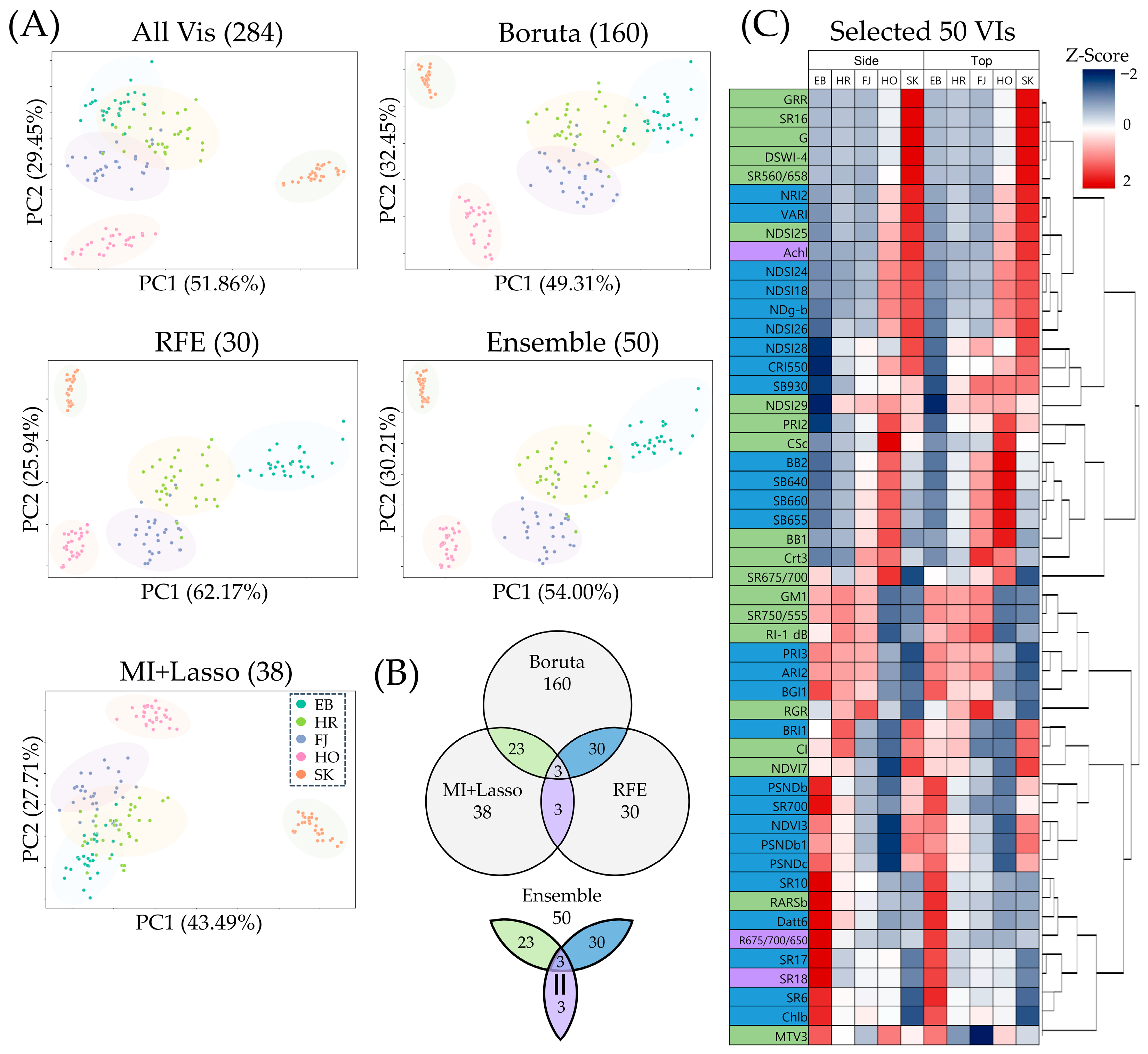 Horticulturae 11 01177 g002 Horticulturae 11 01177 g002