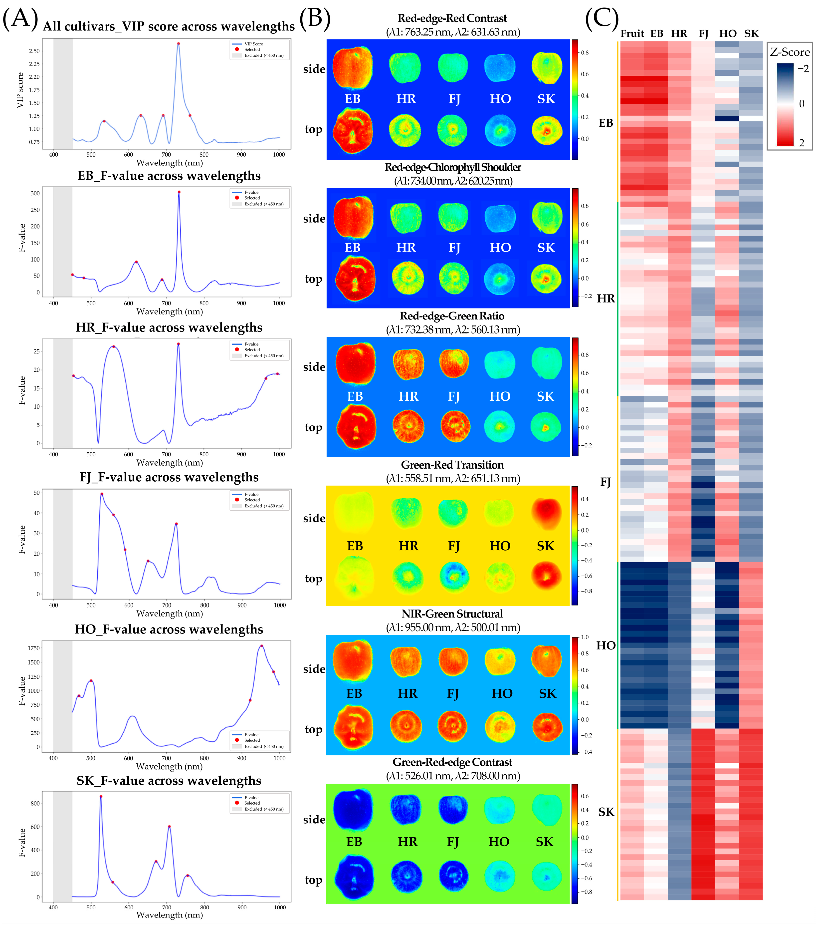 Horticulturae 11 01177 g003 Horticulturae 11 01177 g003