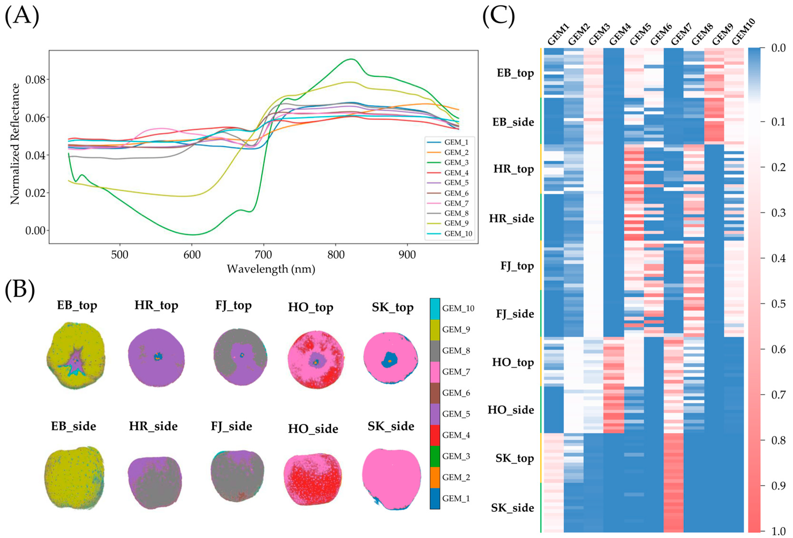 Horticulturae 11 01177 g004 Horticulturae 11 01177 g004