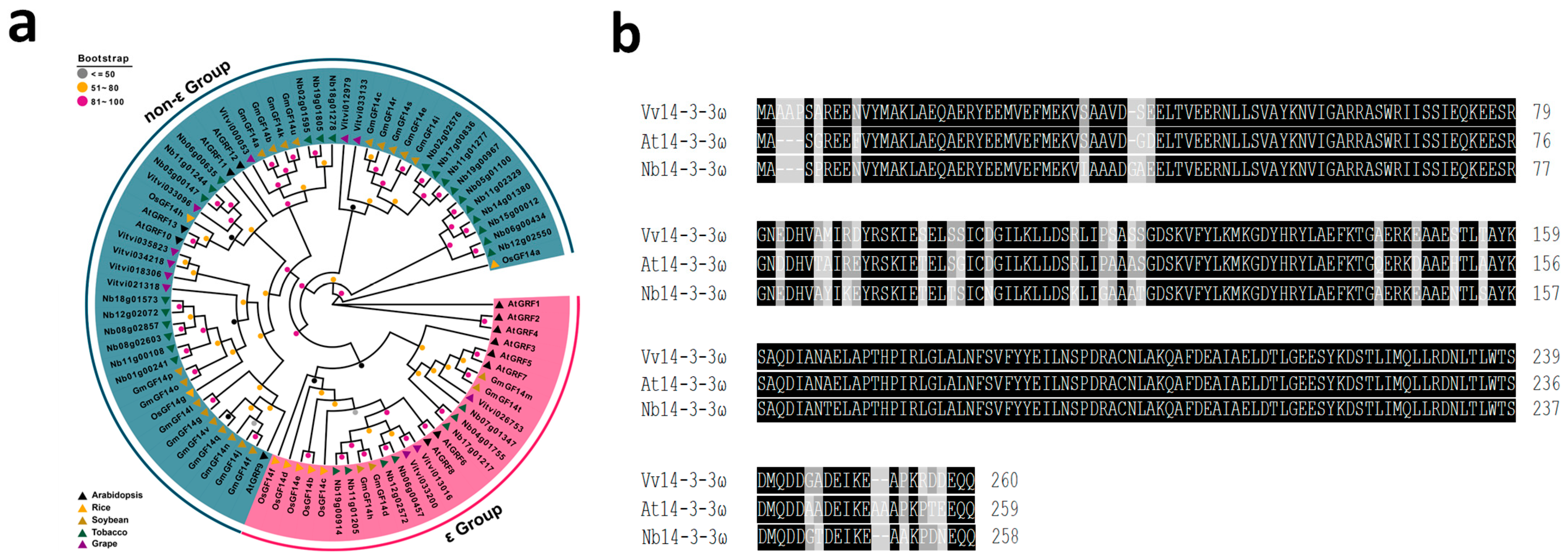 Horticulturae 11 01199 g001