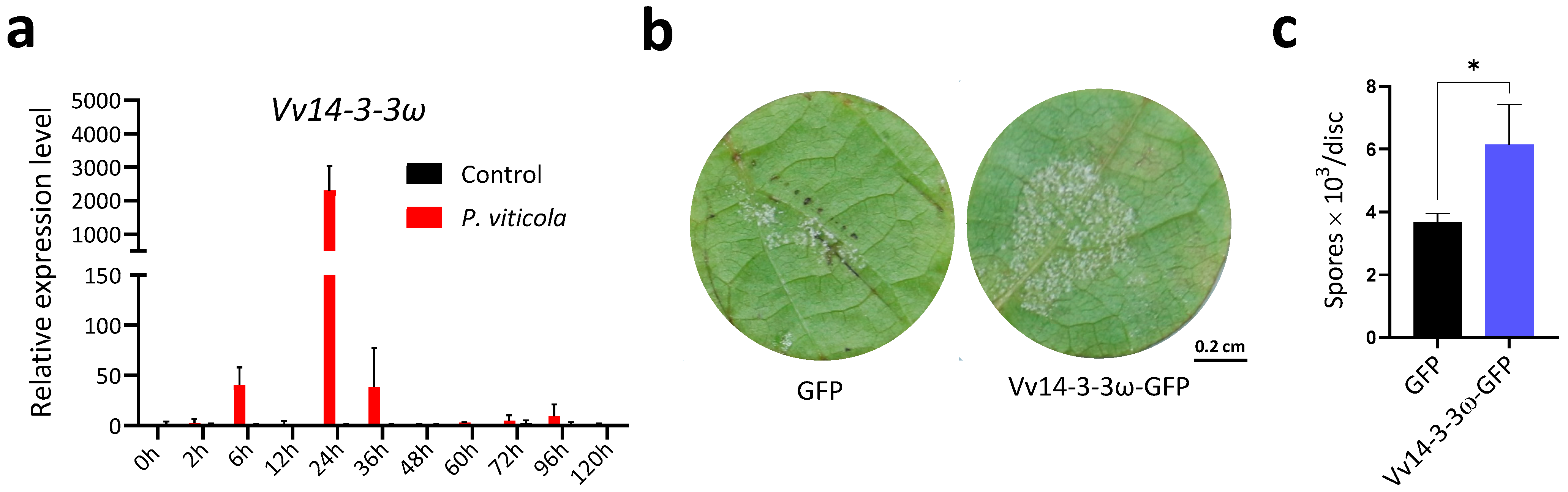 Horticulturae 11 01199 g002