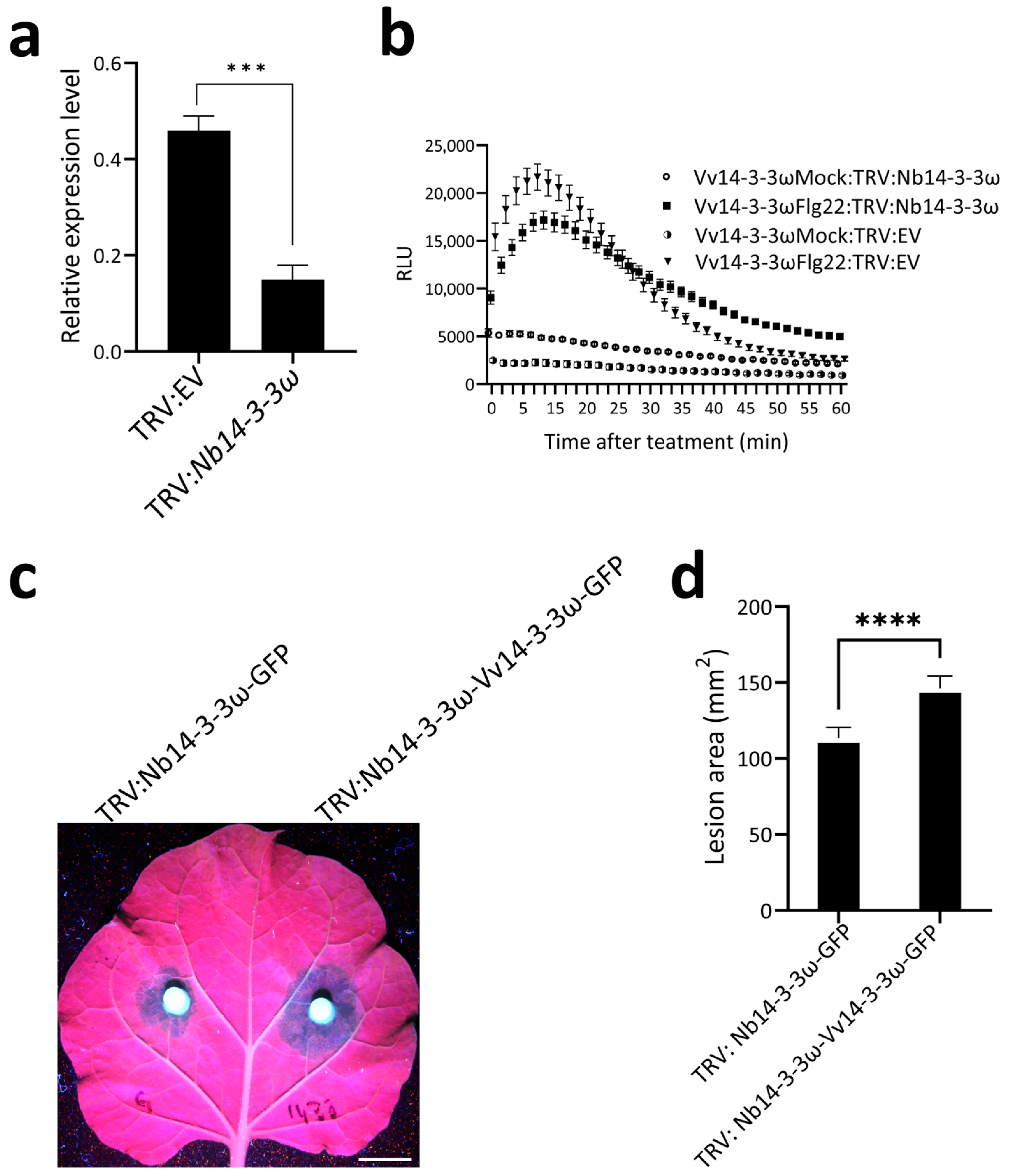 Horticulturae 11 01199 g005