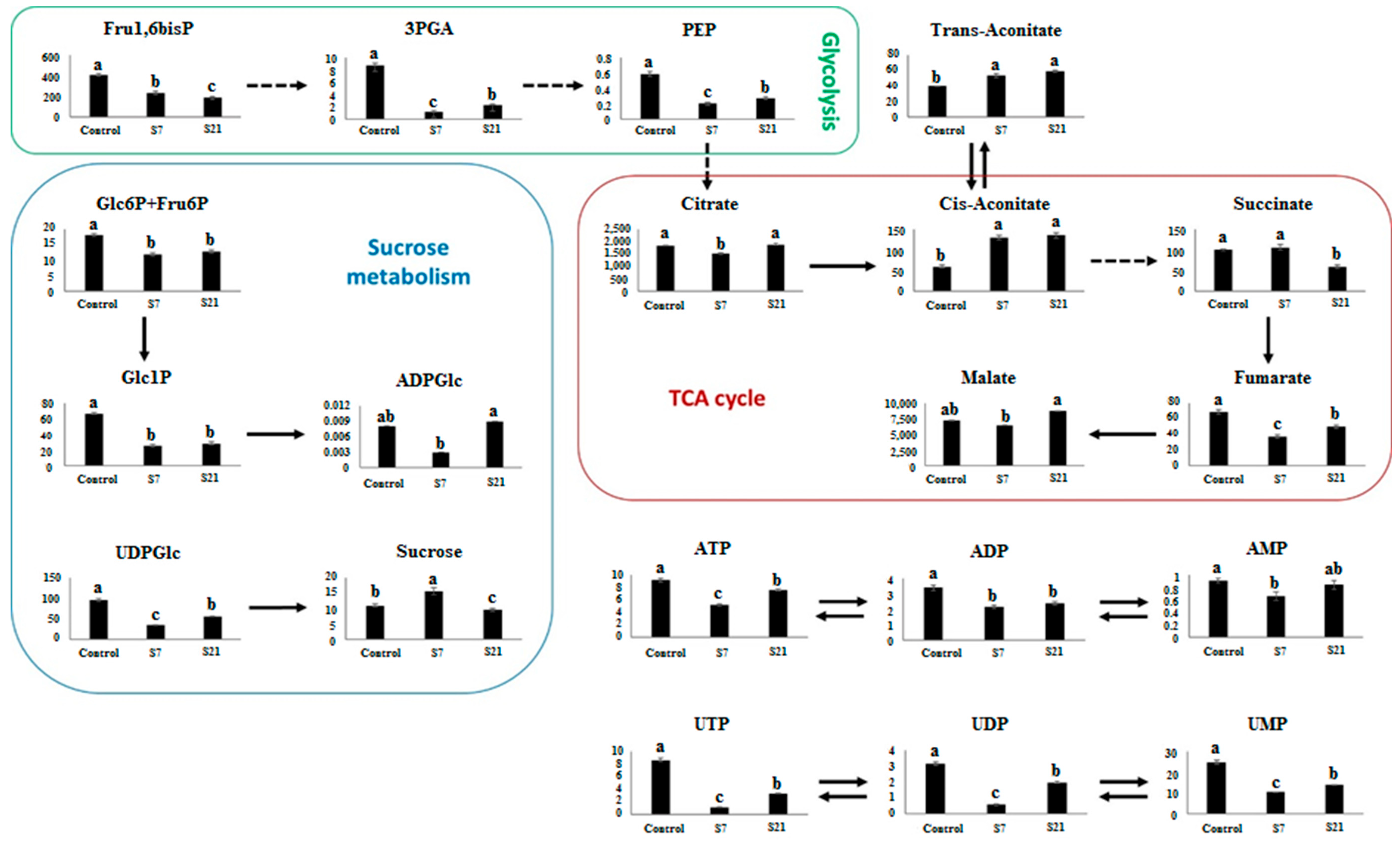Horticulturae 11 01201 g001