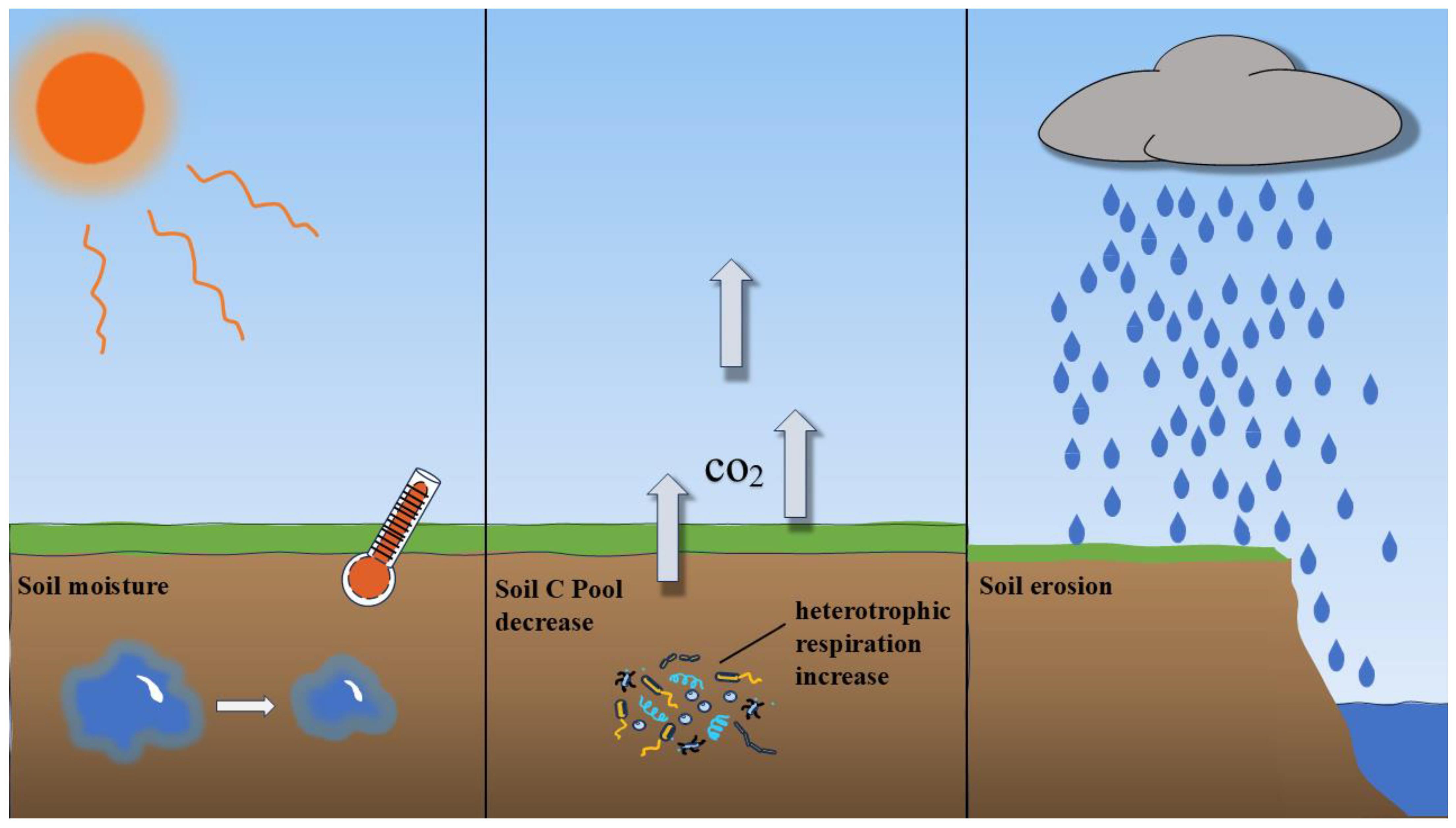 Horticulturae 11 01206 g001 Horticulturae 11 01206 g001