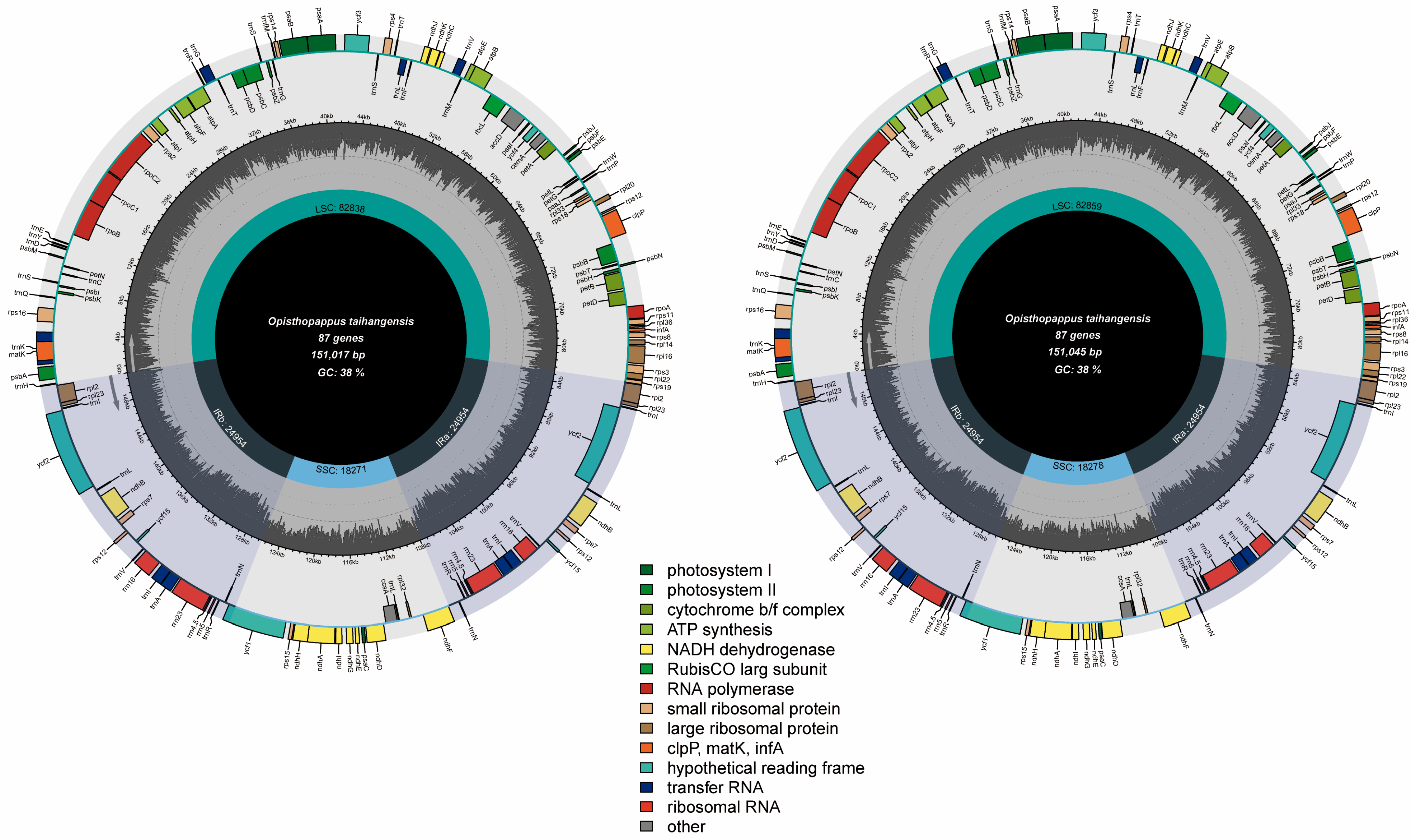 Horticulturae 11 01209 g001 Horticulturae 11 01209 g001
