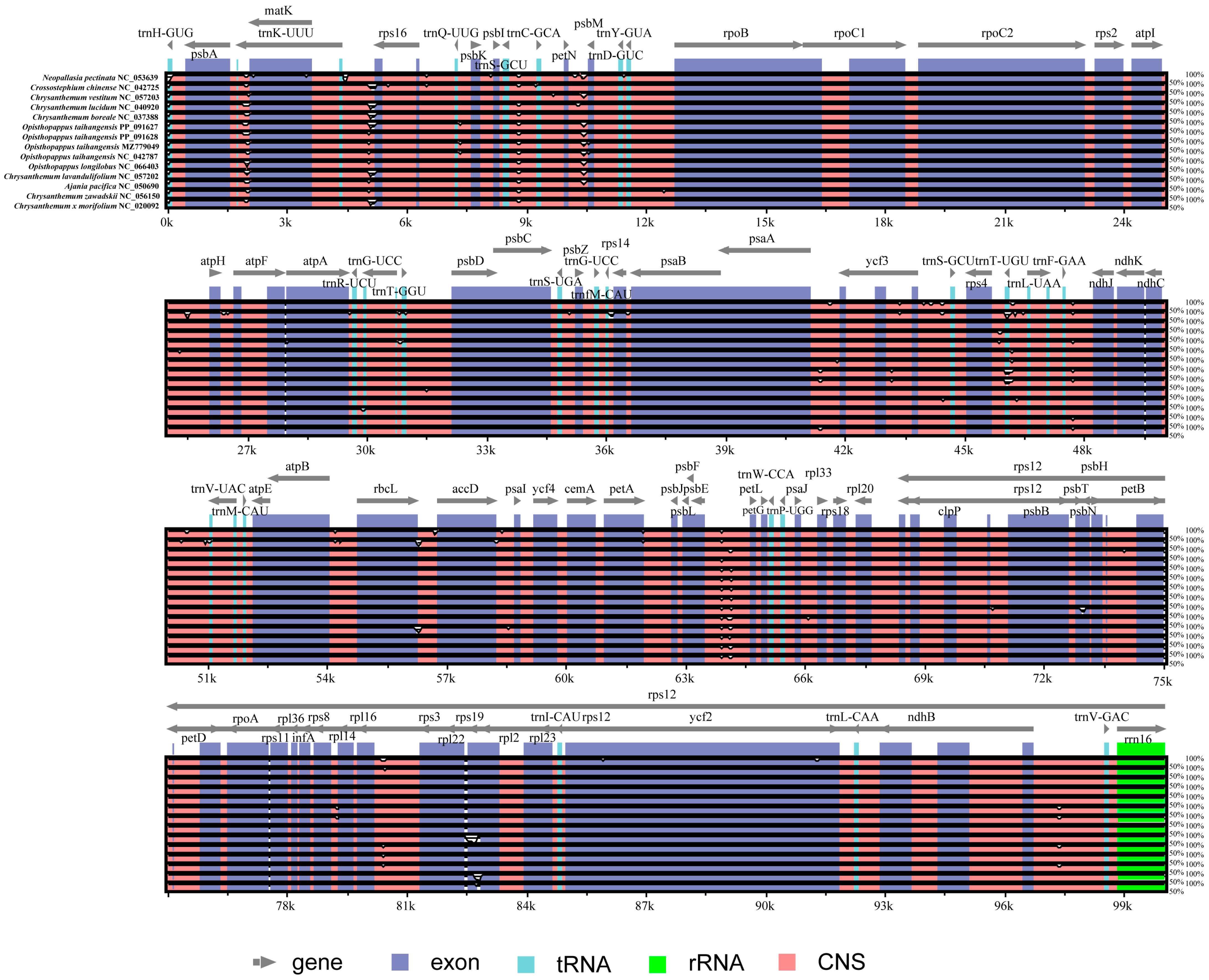 Horticulturae 11 01209 g003 Horticulturae 11 01209 g003