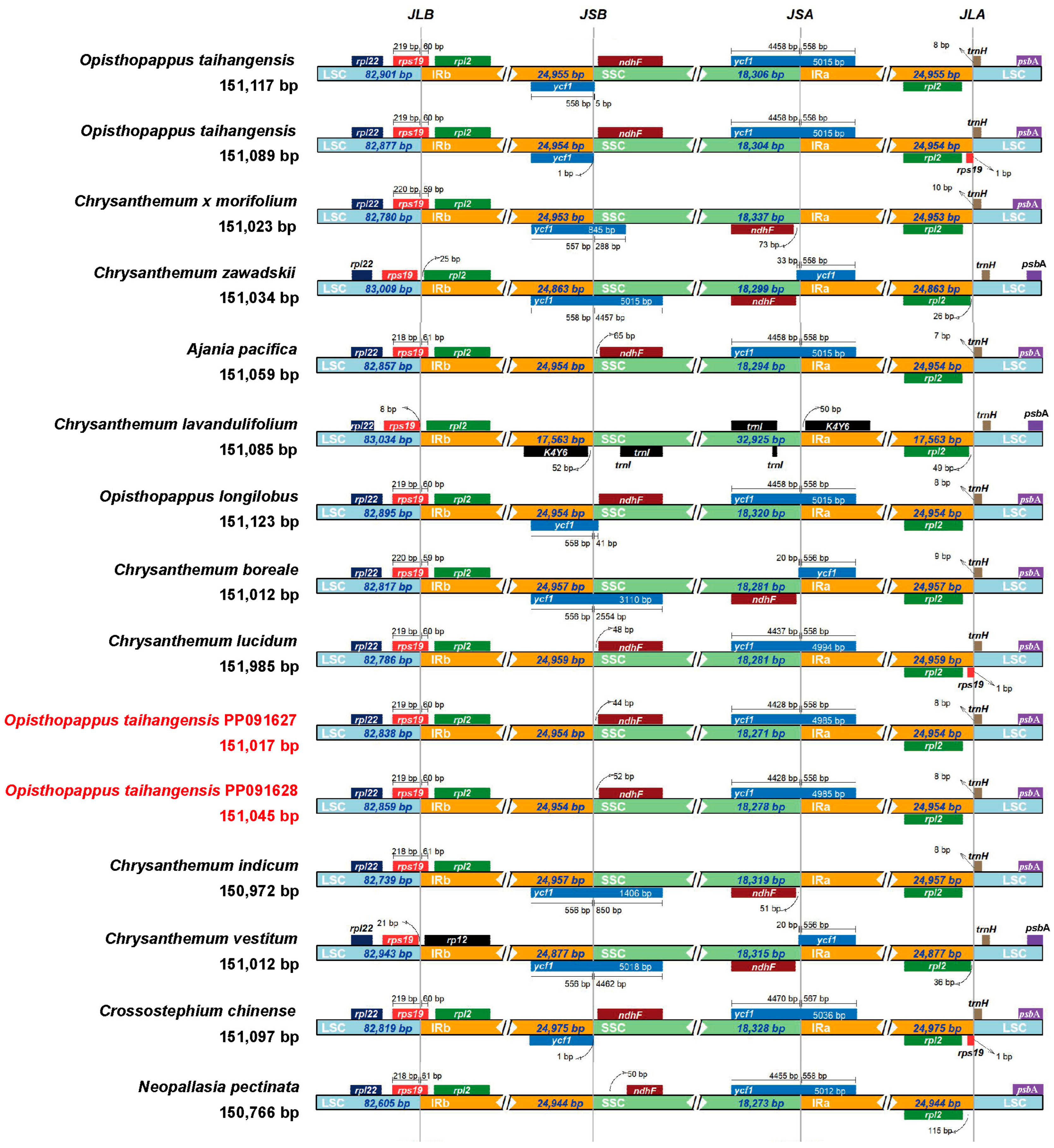 Horticulturae 11 01209 g004 Horticulturae 11 01209 g004