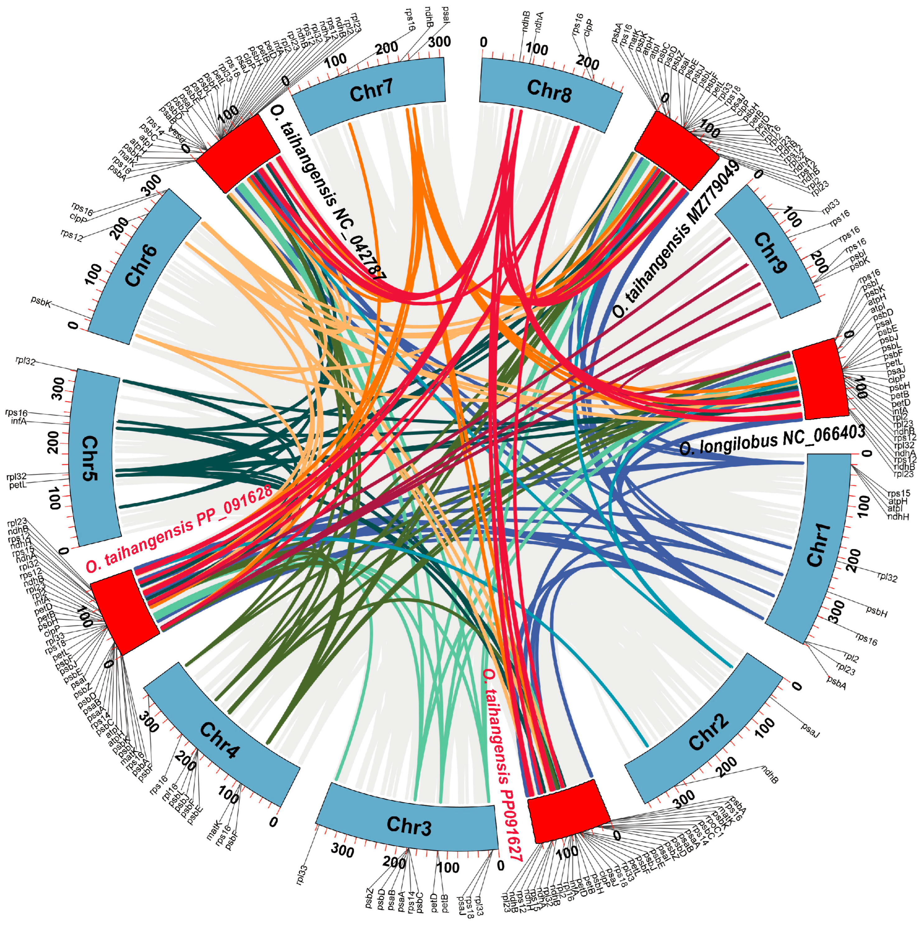 Horticulturae 11 01209 g006 Horticulturae 11 01209 g006
