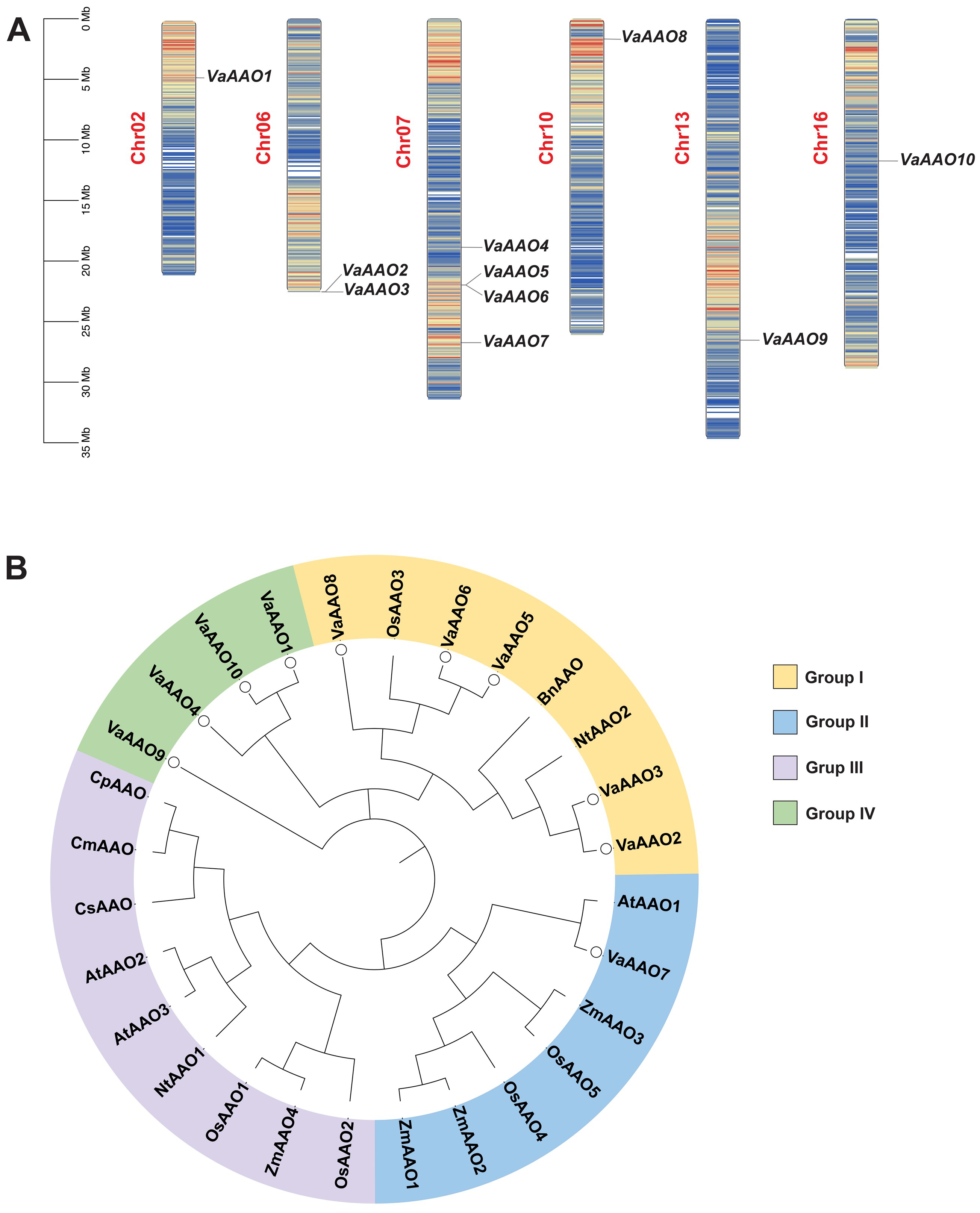 Horticulturae 11 01211 g001